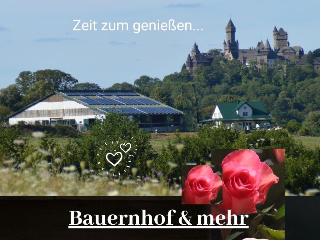 Kleine einzigartige Ferienwohnung auf dem Bauernhof, direkt in der Natur mit Blick auf Schloss Braunfels