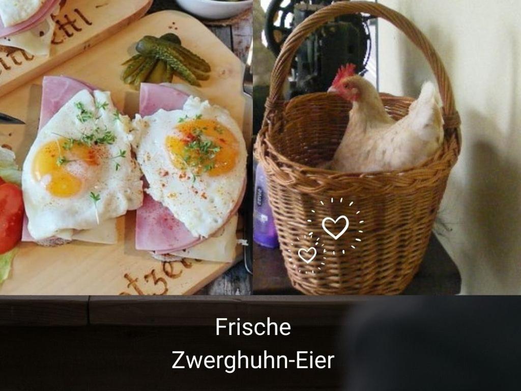 Kleine einzigartige Ferienwohnung auf dem Bauernhof, direkt in der Natur mit Blick auf Schloss Braunfels
