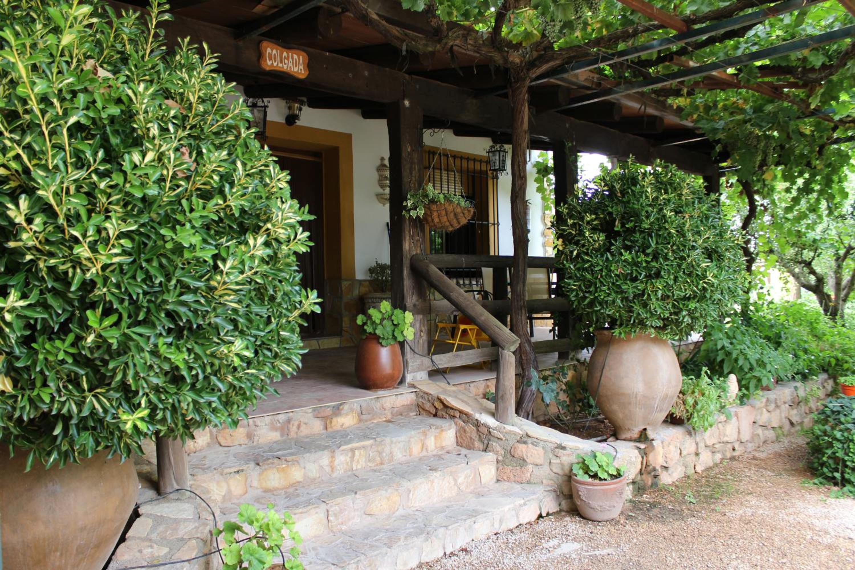 Casas de Madera Los Molinos view 4