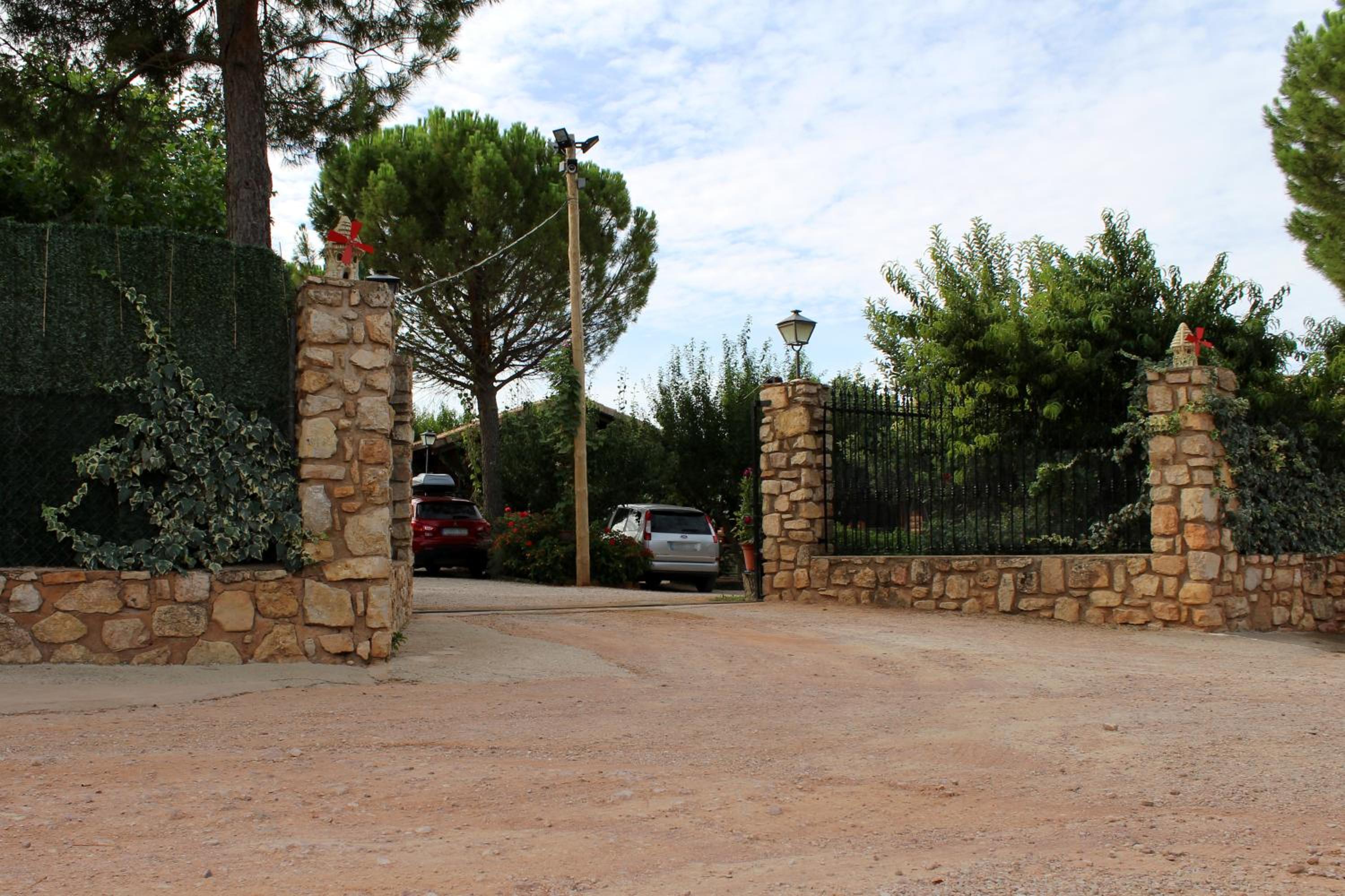 Photo 11
