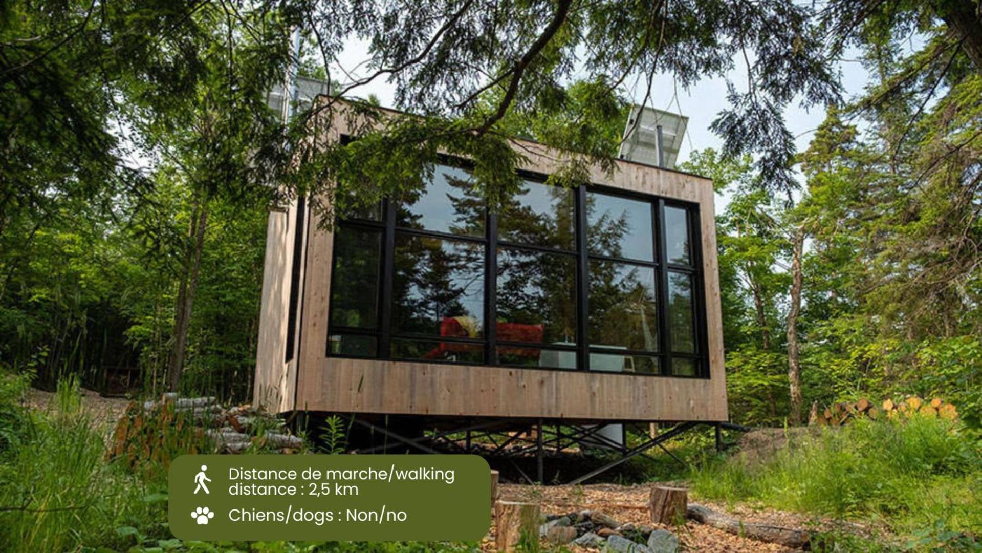 Cabin Zoobox 87