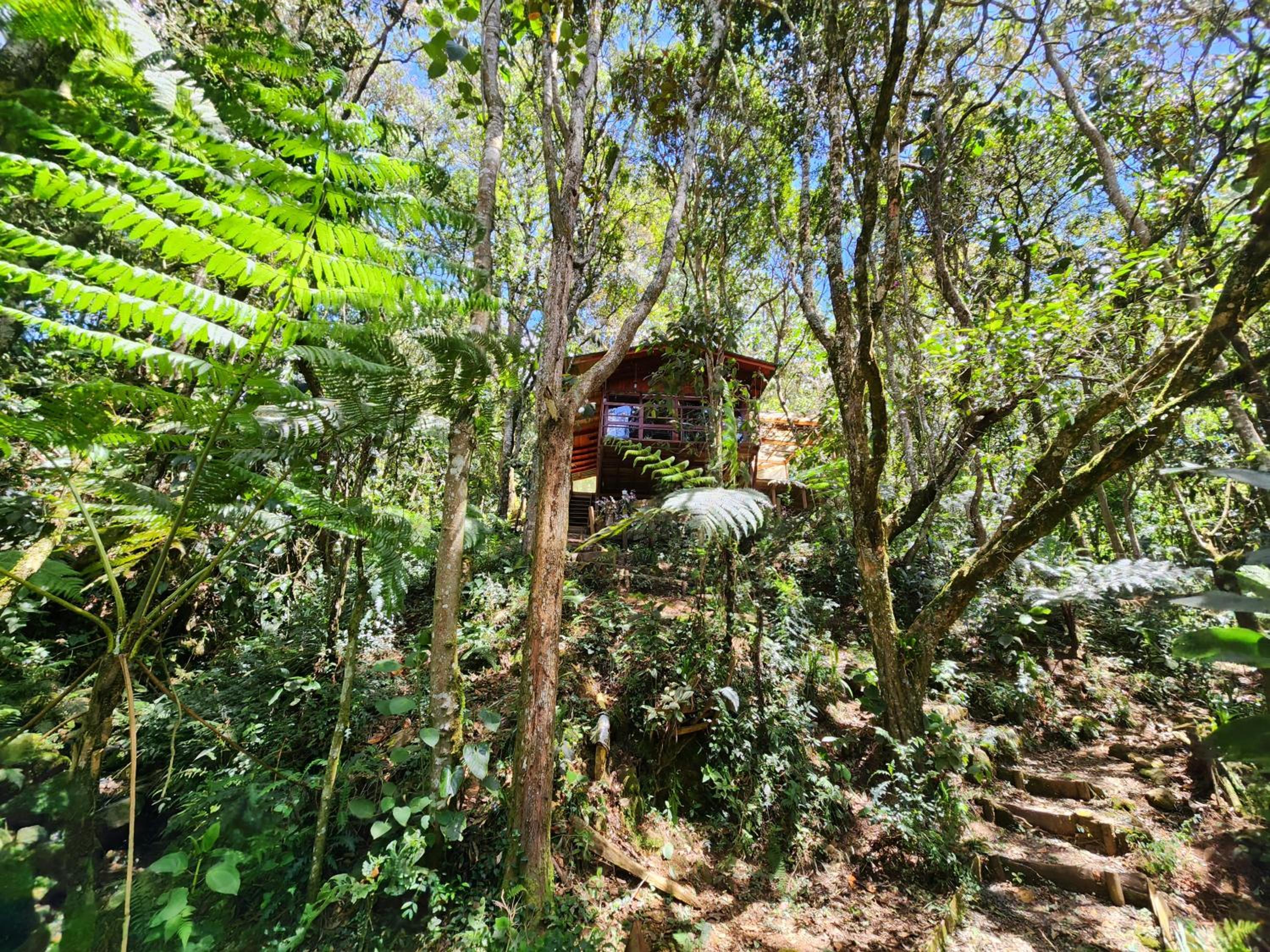 Cabaña en Medio del Bosque con Jacuzzi - Santa Elena