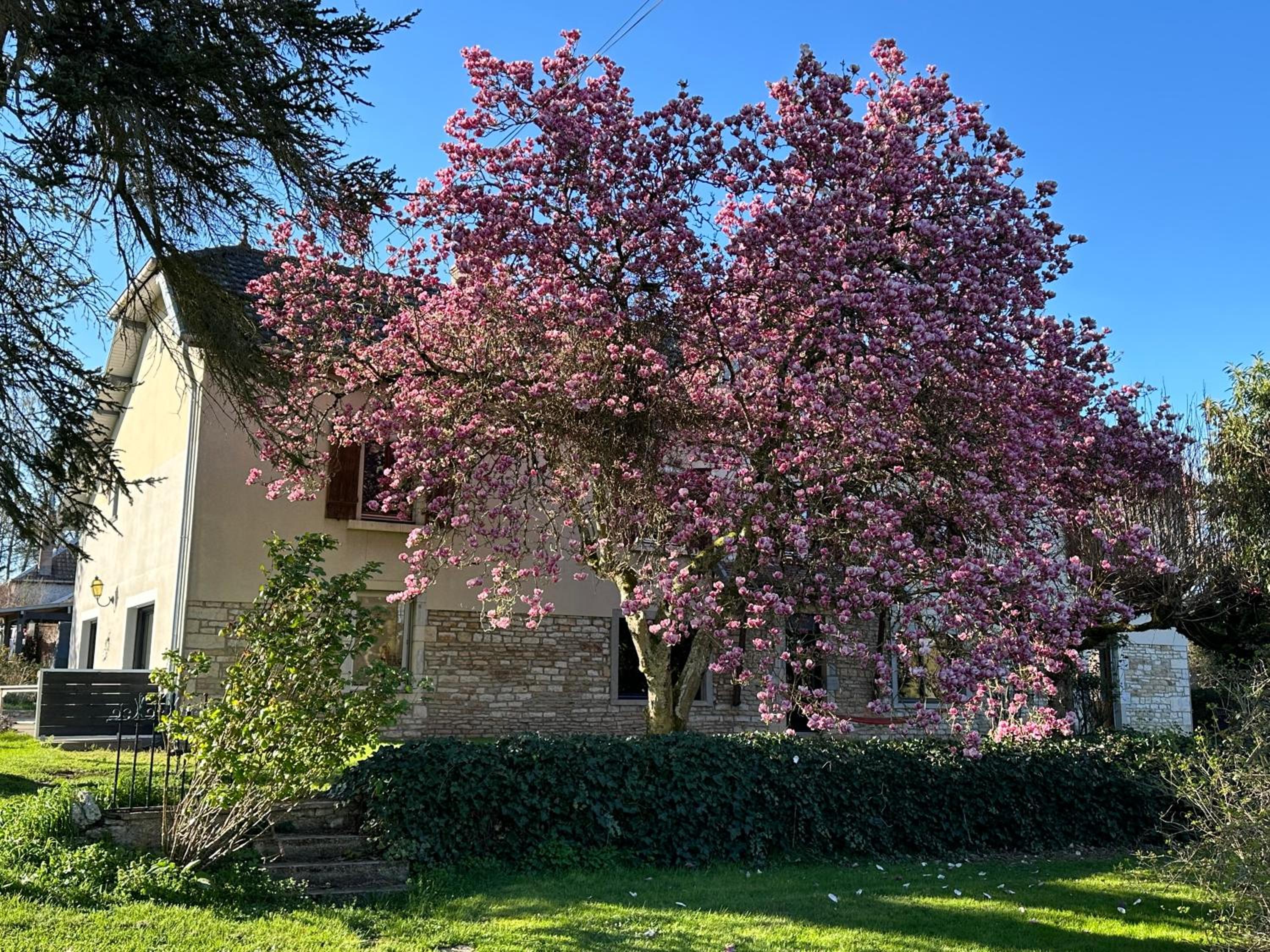 Gîte la corne aux vaches