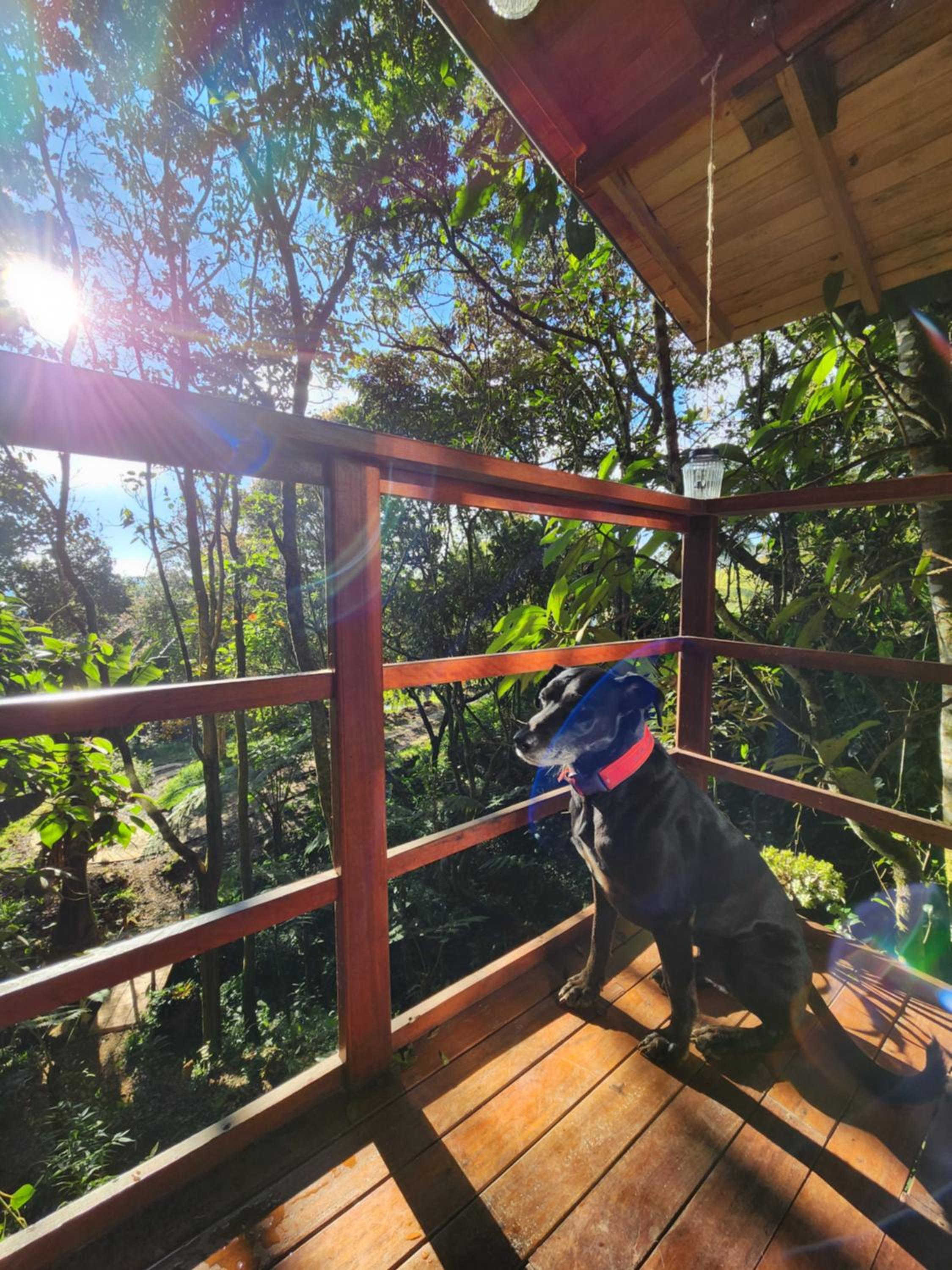 Cabaña en Medio del Bosque con Jacuzzi - Santa Elena