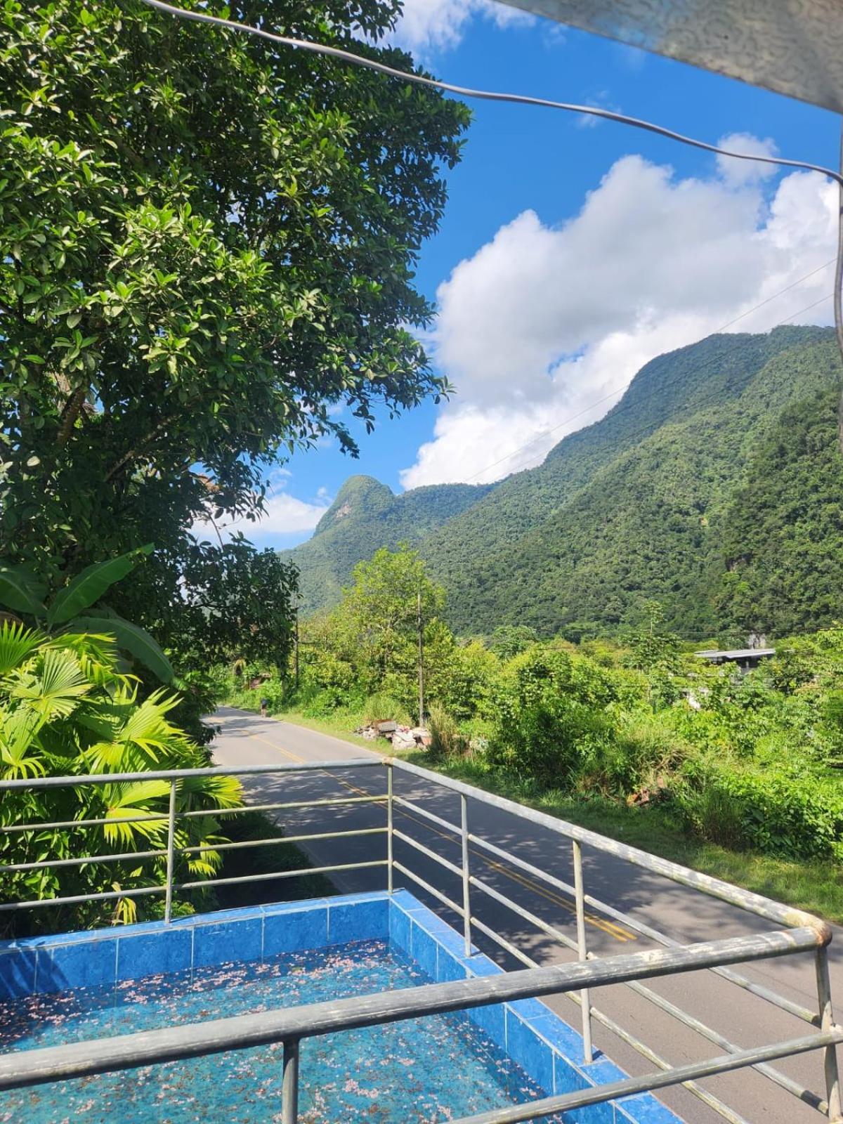 Garden Hostel Tingo María view 4