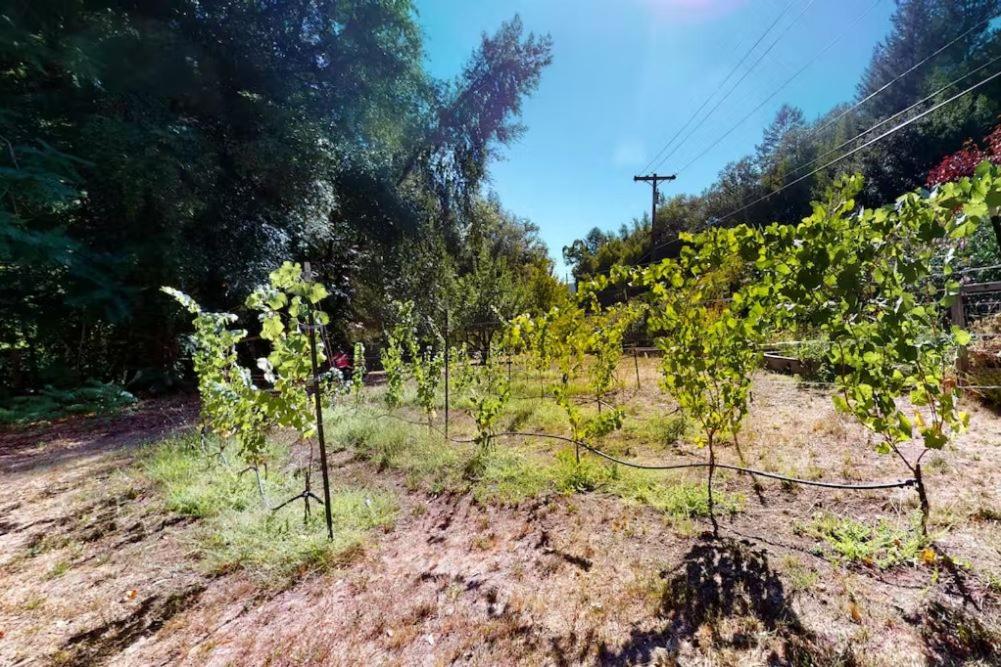 Sweetwater Ranch