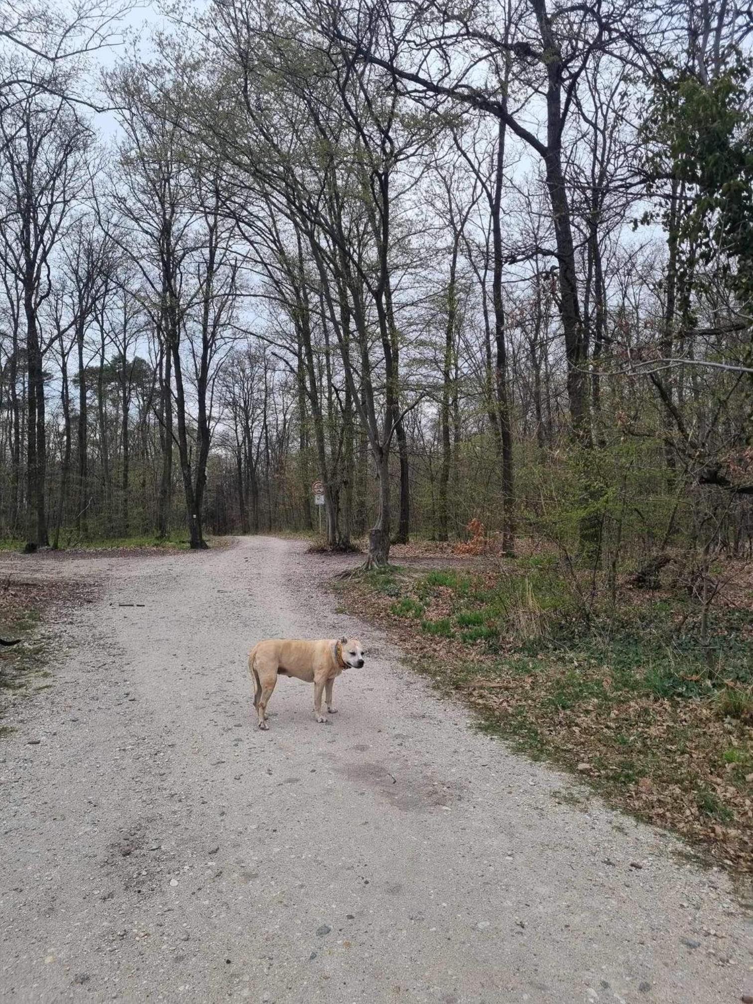 Penzion Miluška