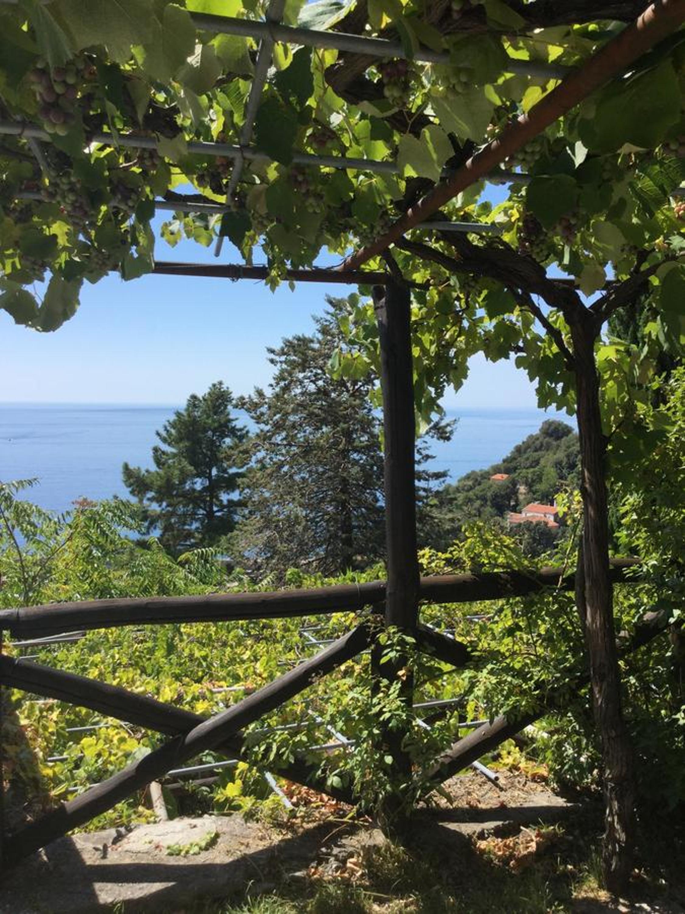 B&B Le Tre Casette