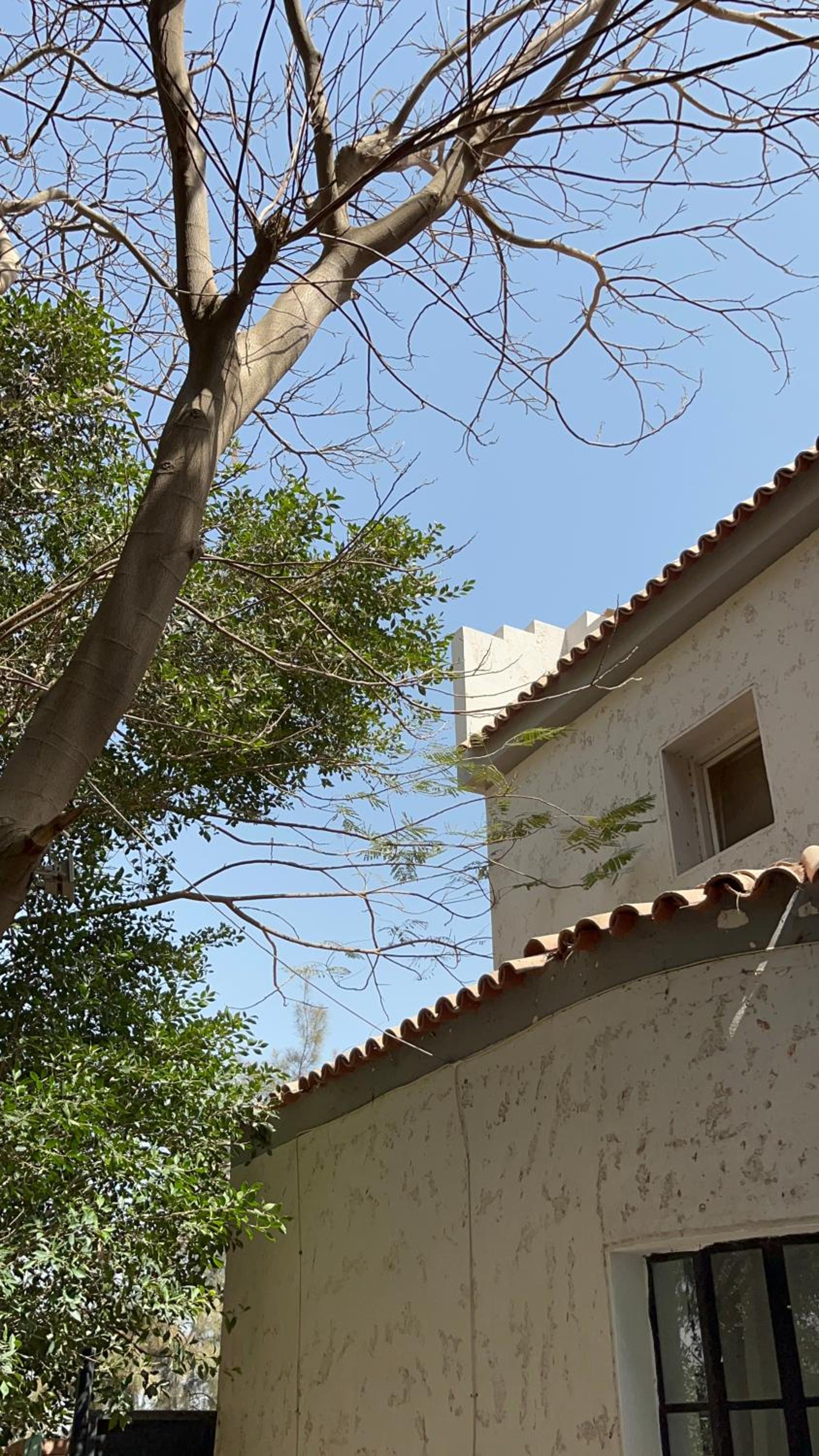 Villa by the Pyramids