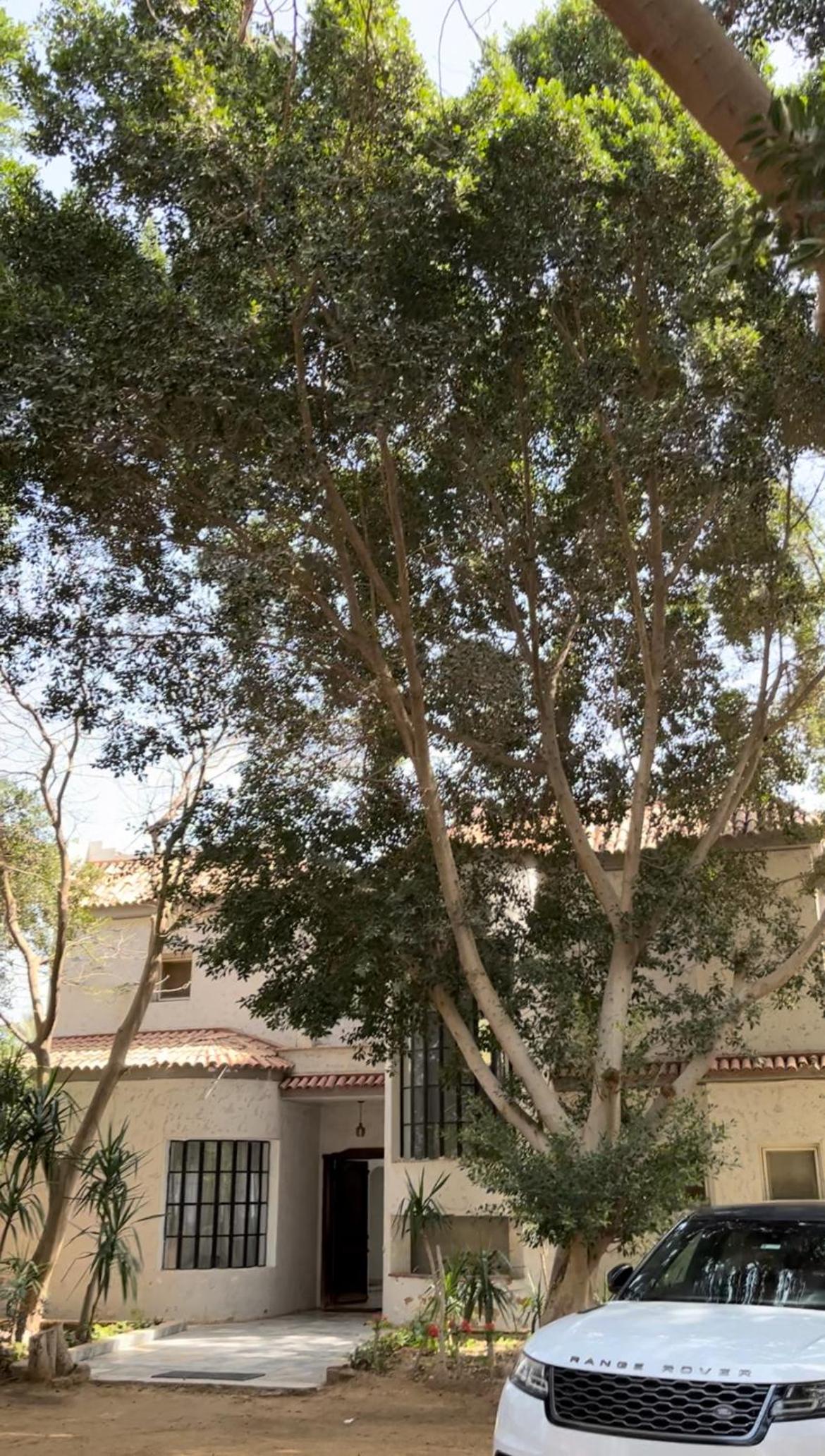Villa by the Pyramids