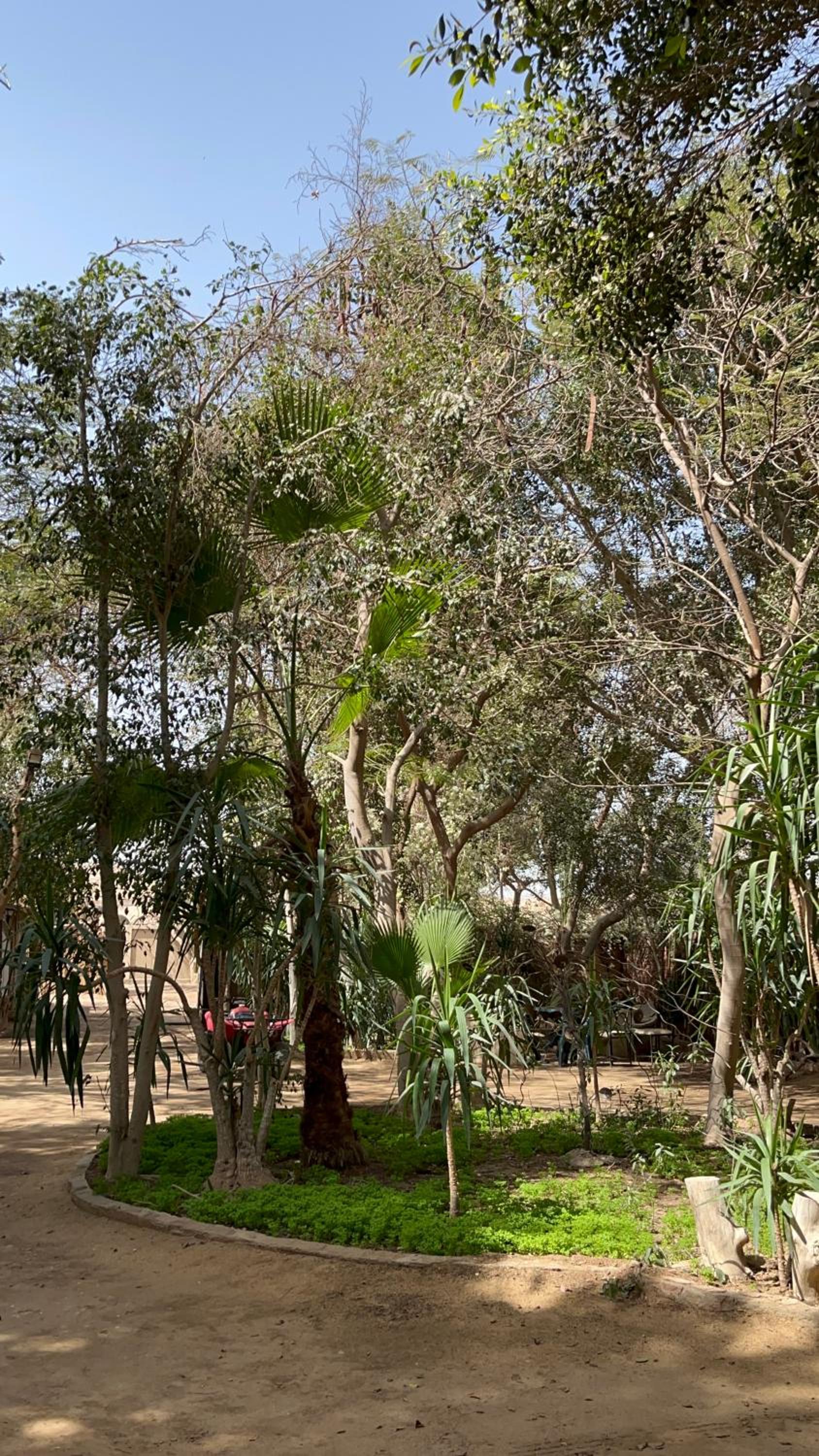 Villa by the Pyramids