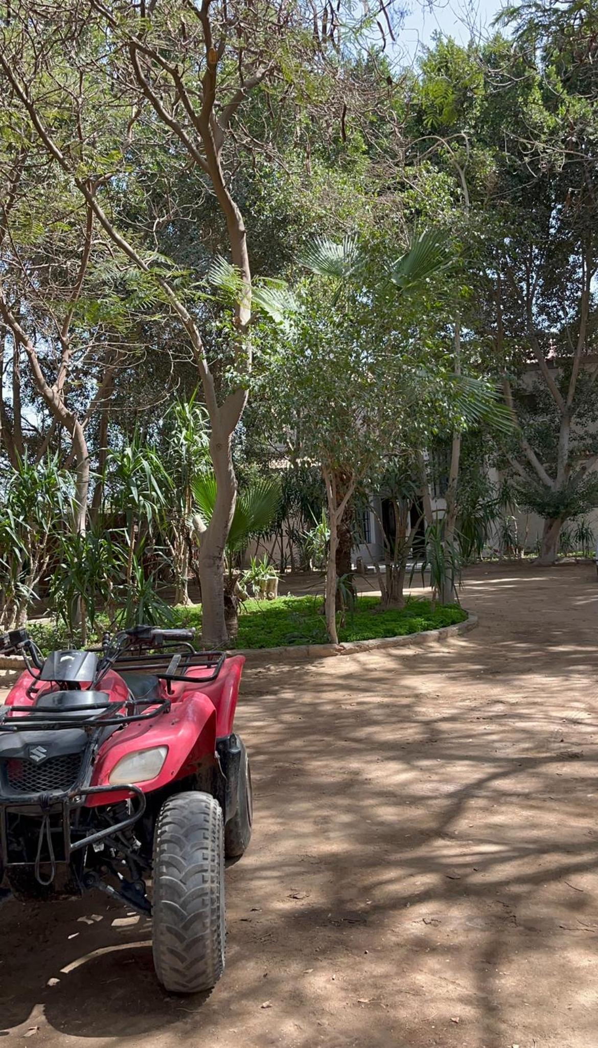 Villa by the Pyramids