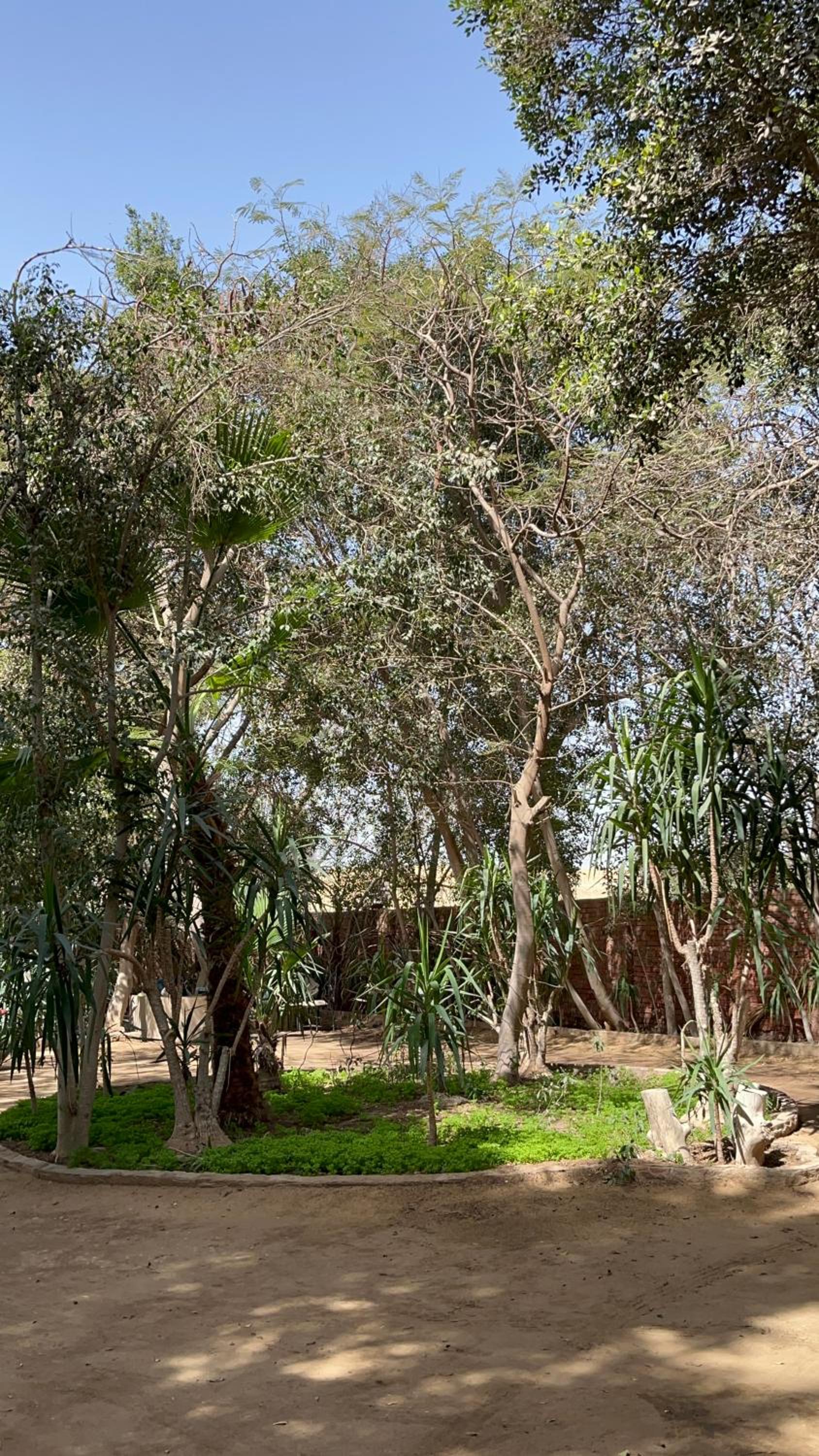 Villa by the Pyramids