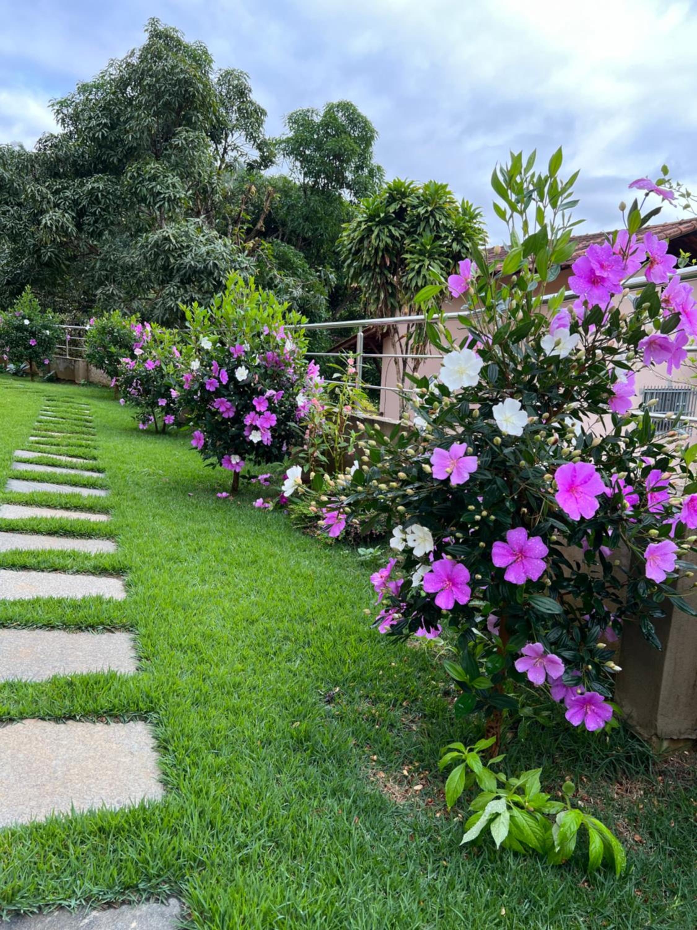Casa de Campo Domingos Martins