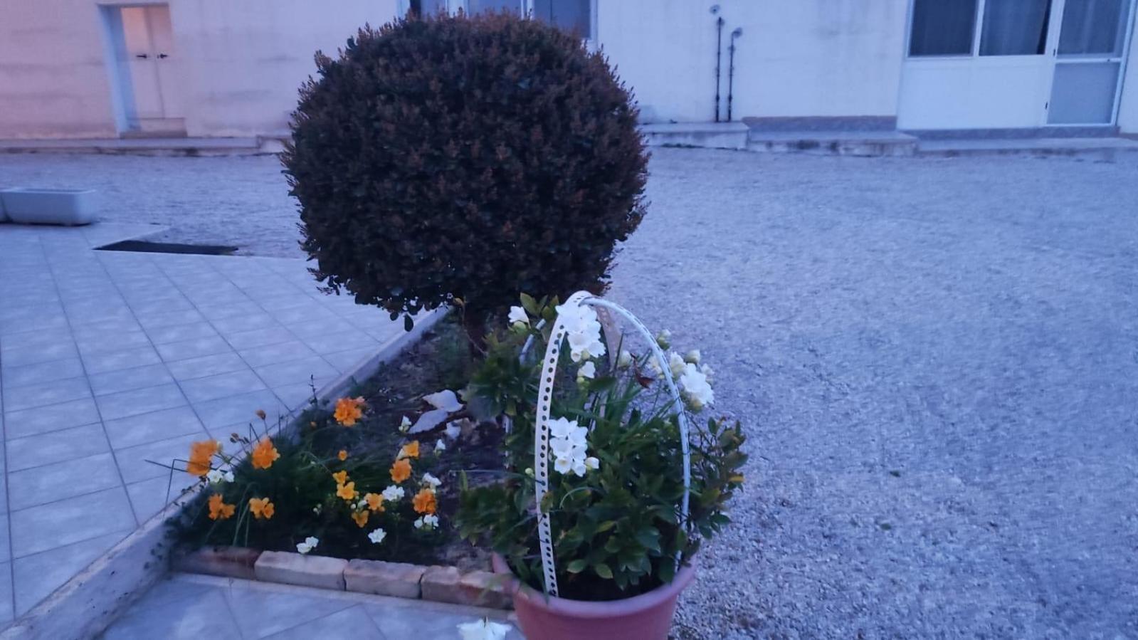 Photo 11