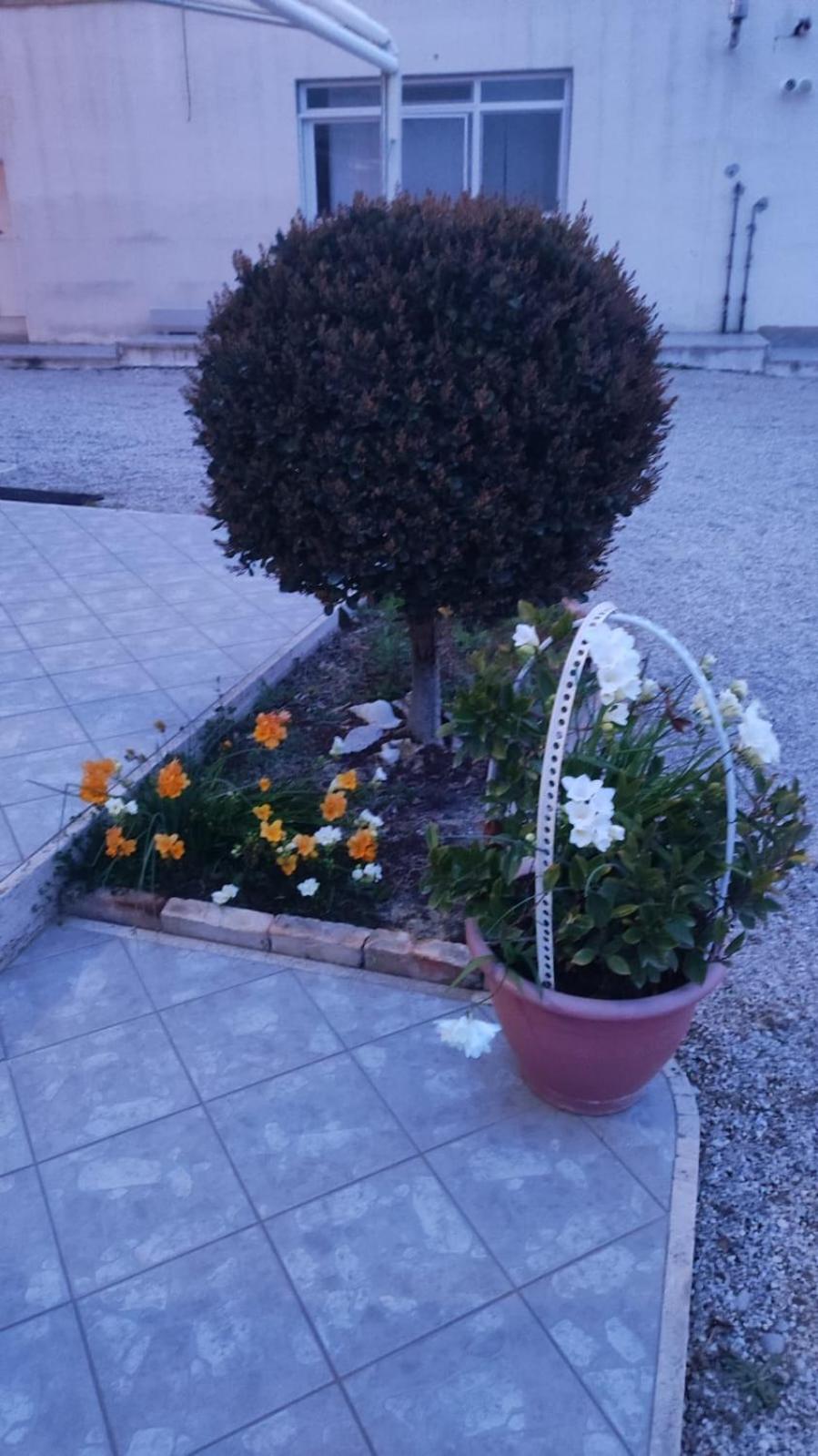 Photo 12