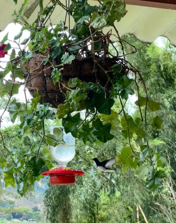 El Refugio del Colibrí