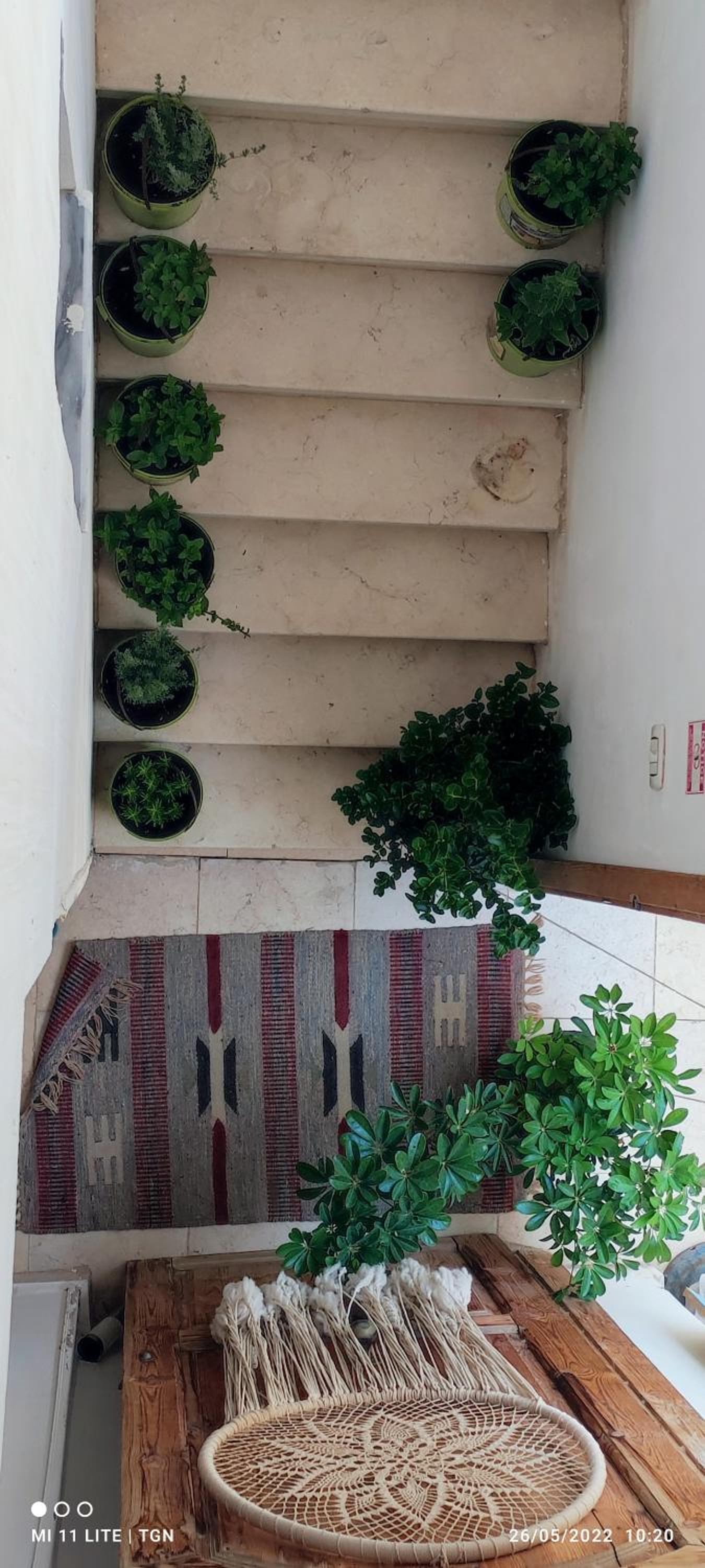 The Green House