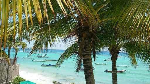 La Salamandra, photo 37