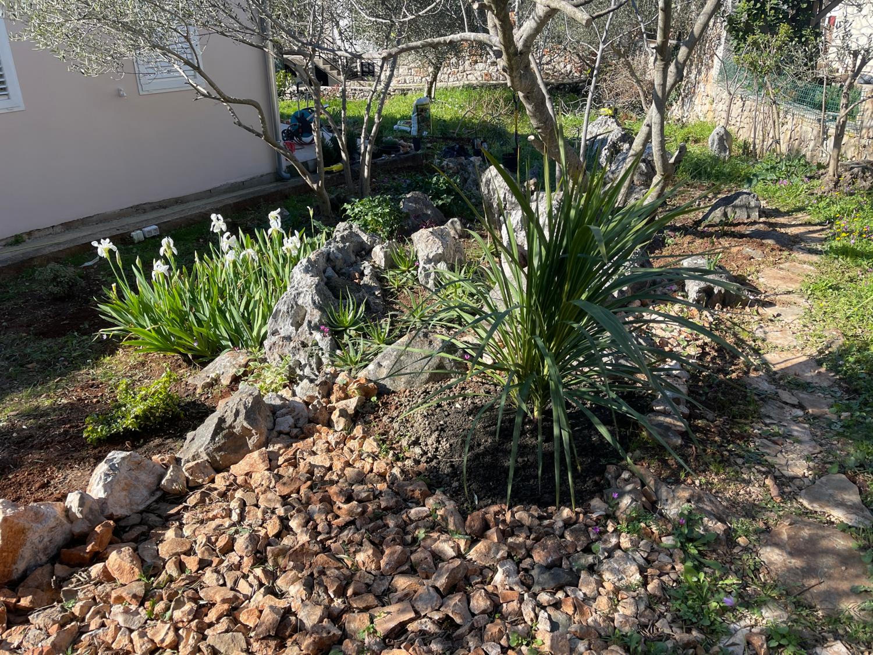 Photo 19