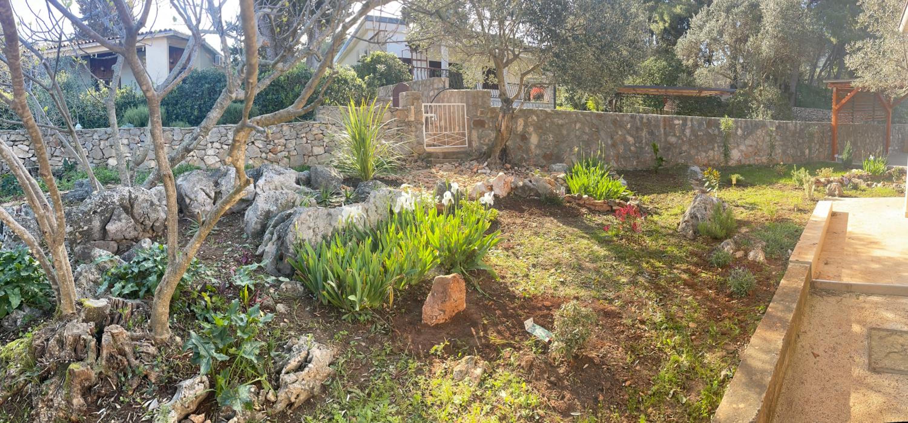 Photo 15
