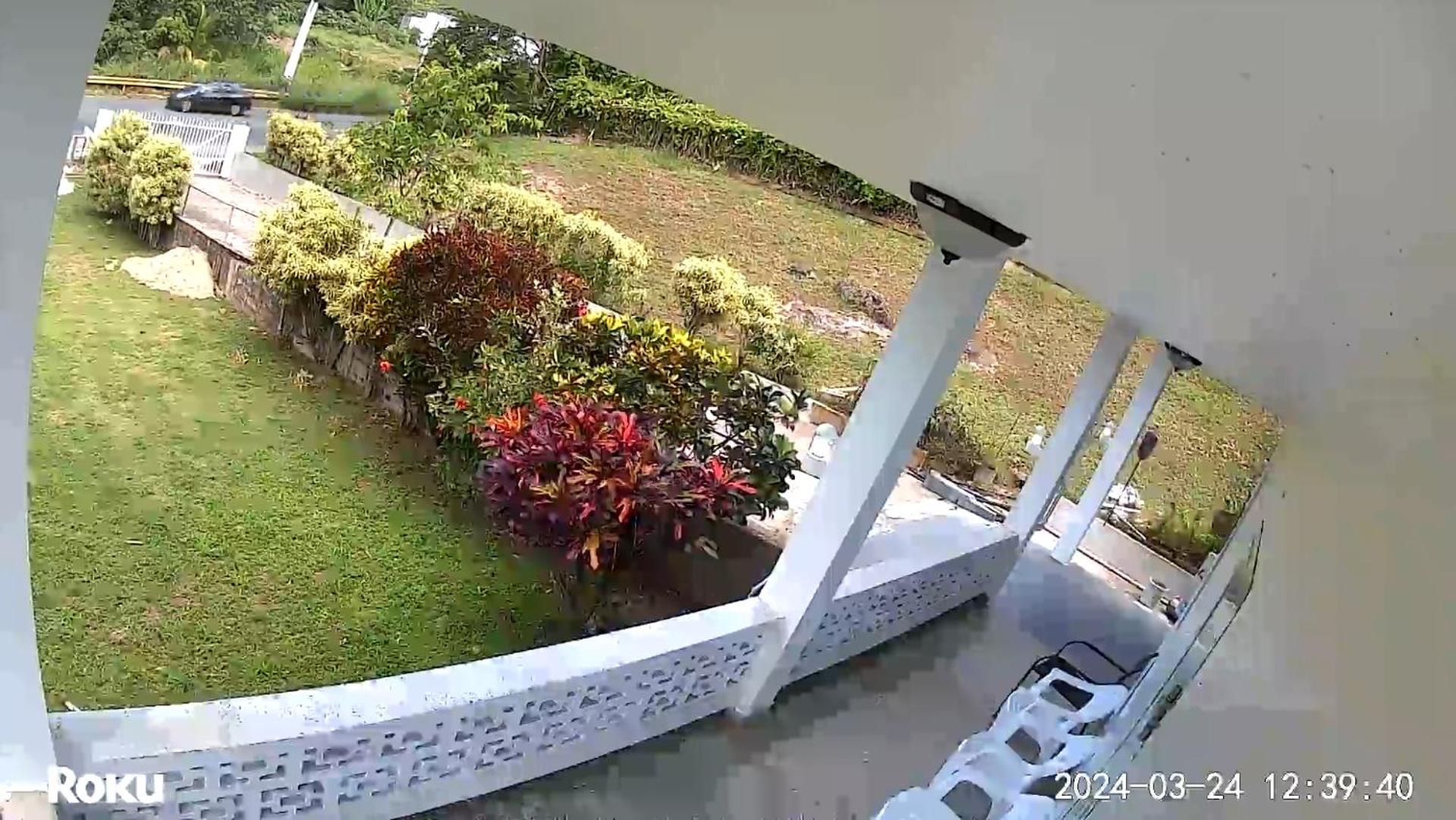 Coqui del corazón Guest House view 2