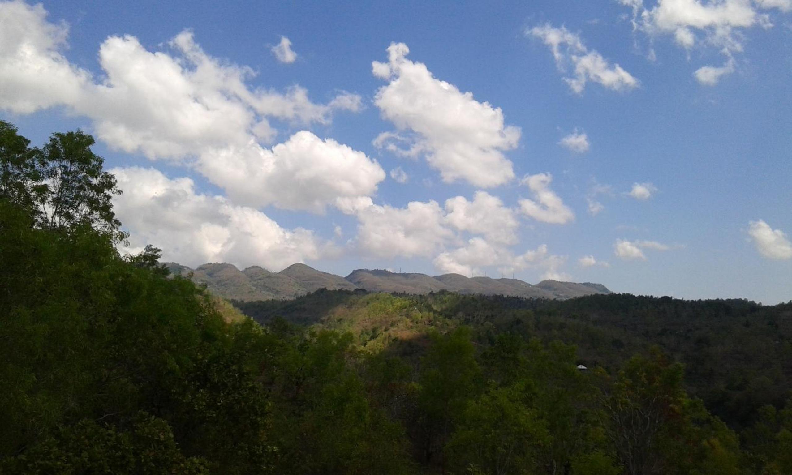 Photo 43