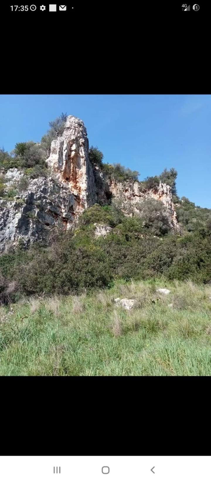 Photo 45