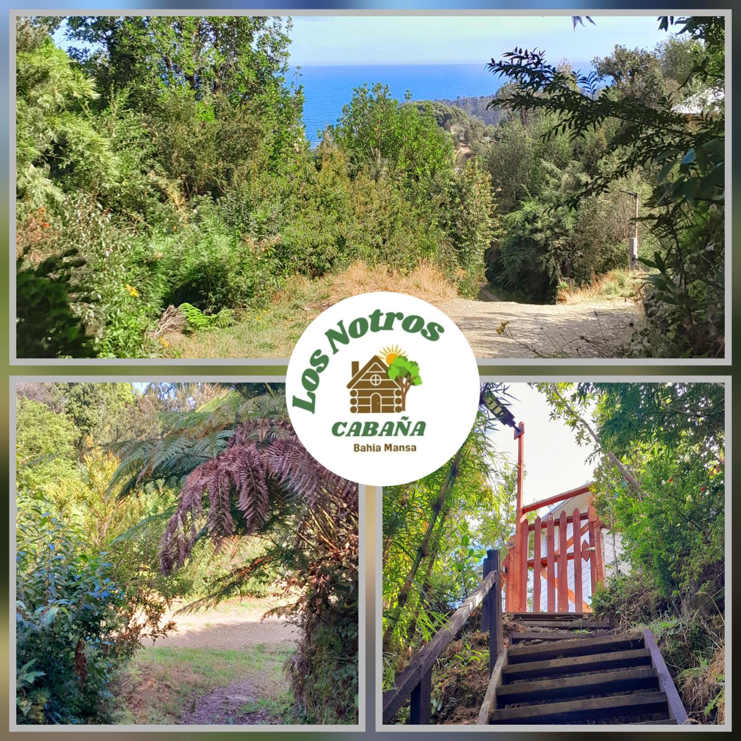 Cabaña Los notros
