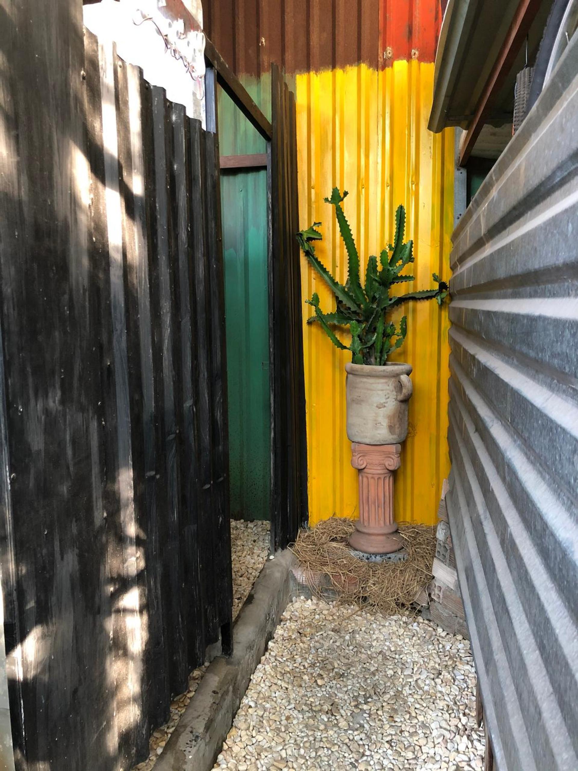 Cactos Chill & Homestay