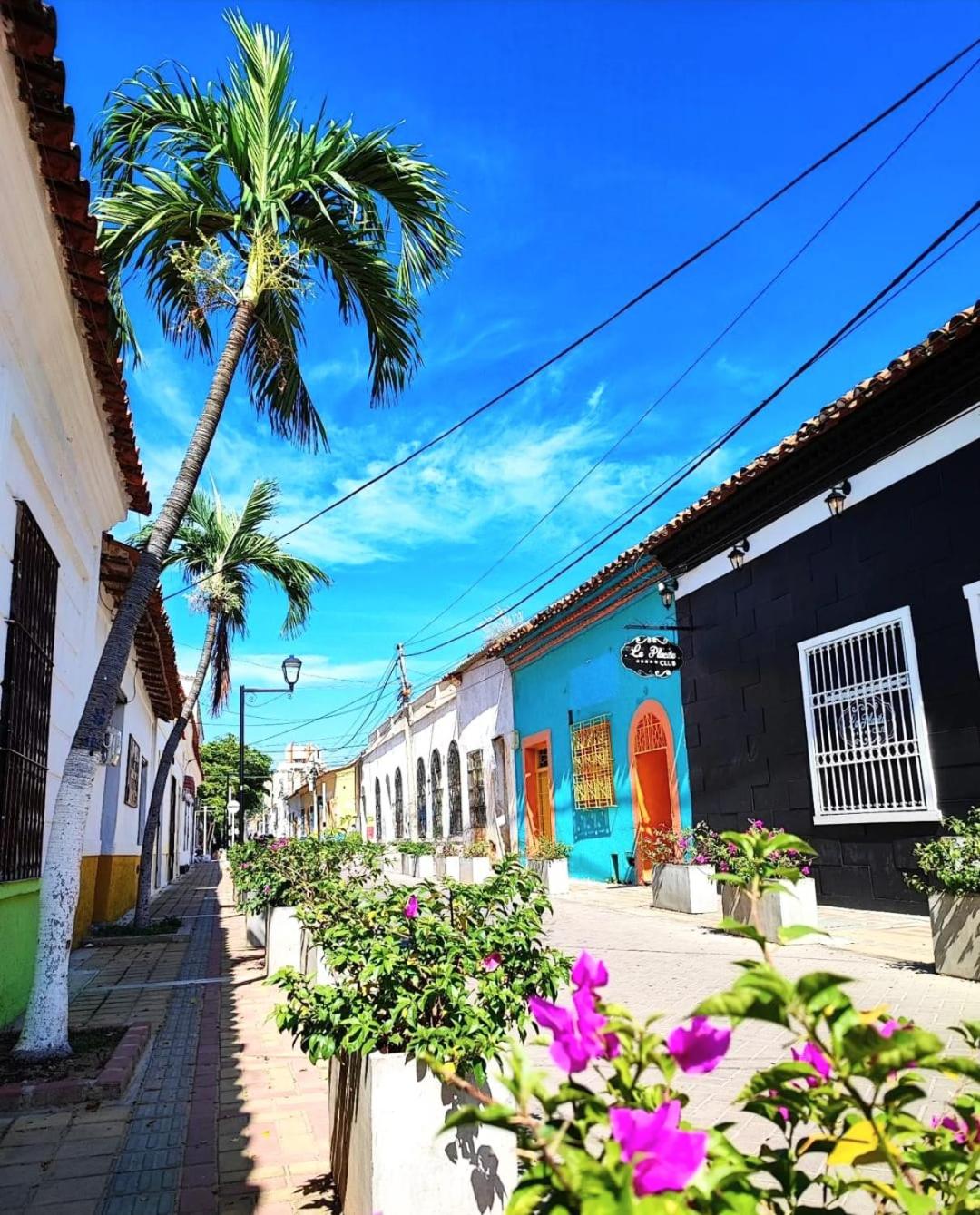 Apartamentos Flowers House