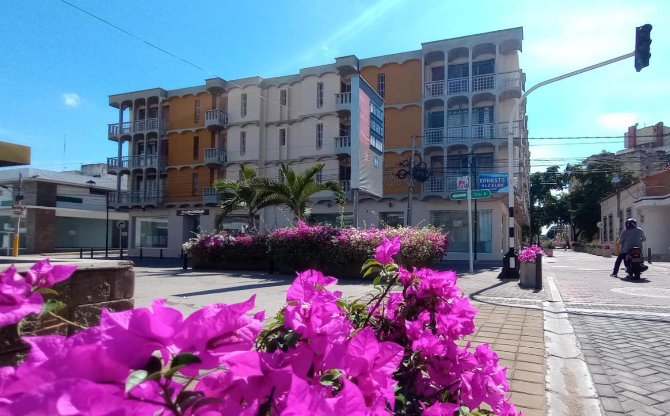 Apartamentos Flowers House