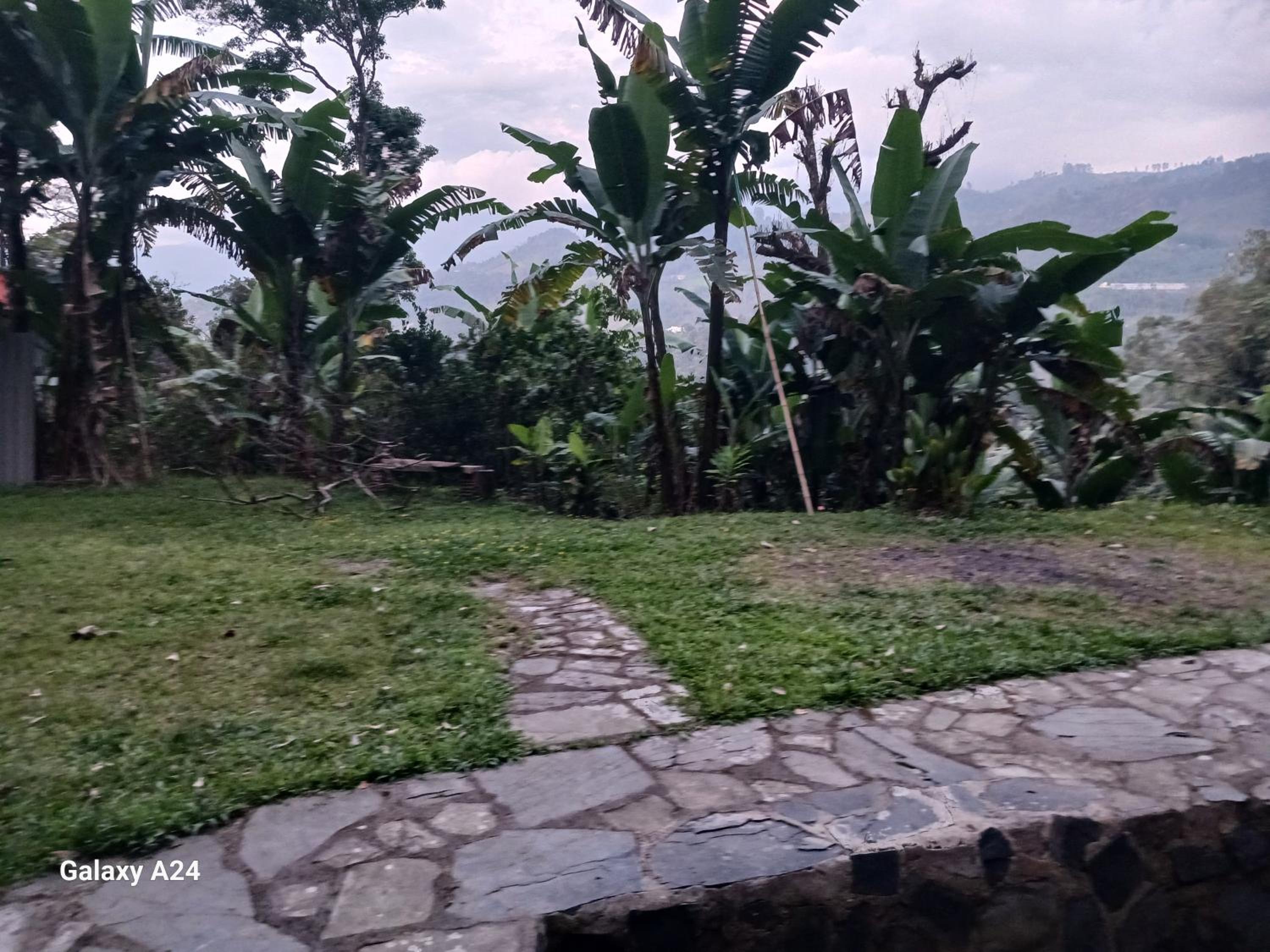 EL Refugio