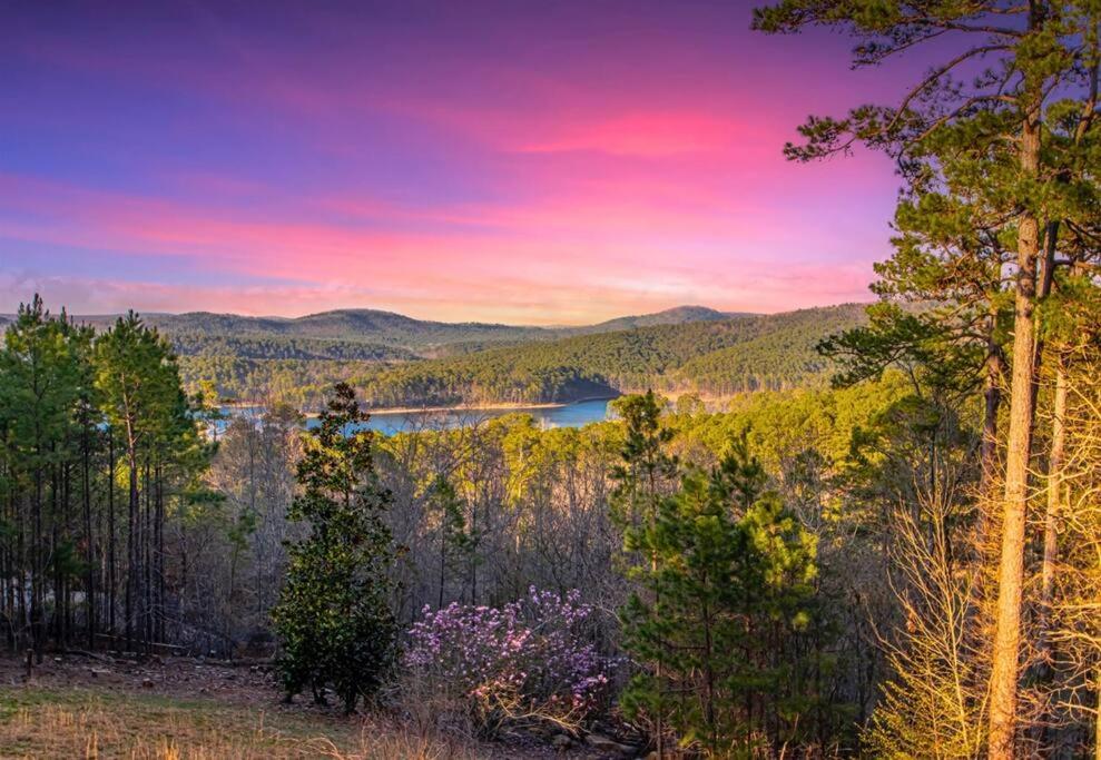 Ouachita Wonder