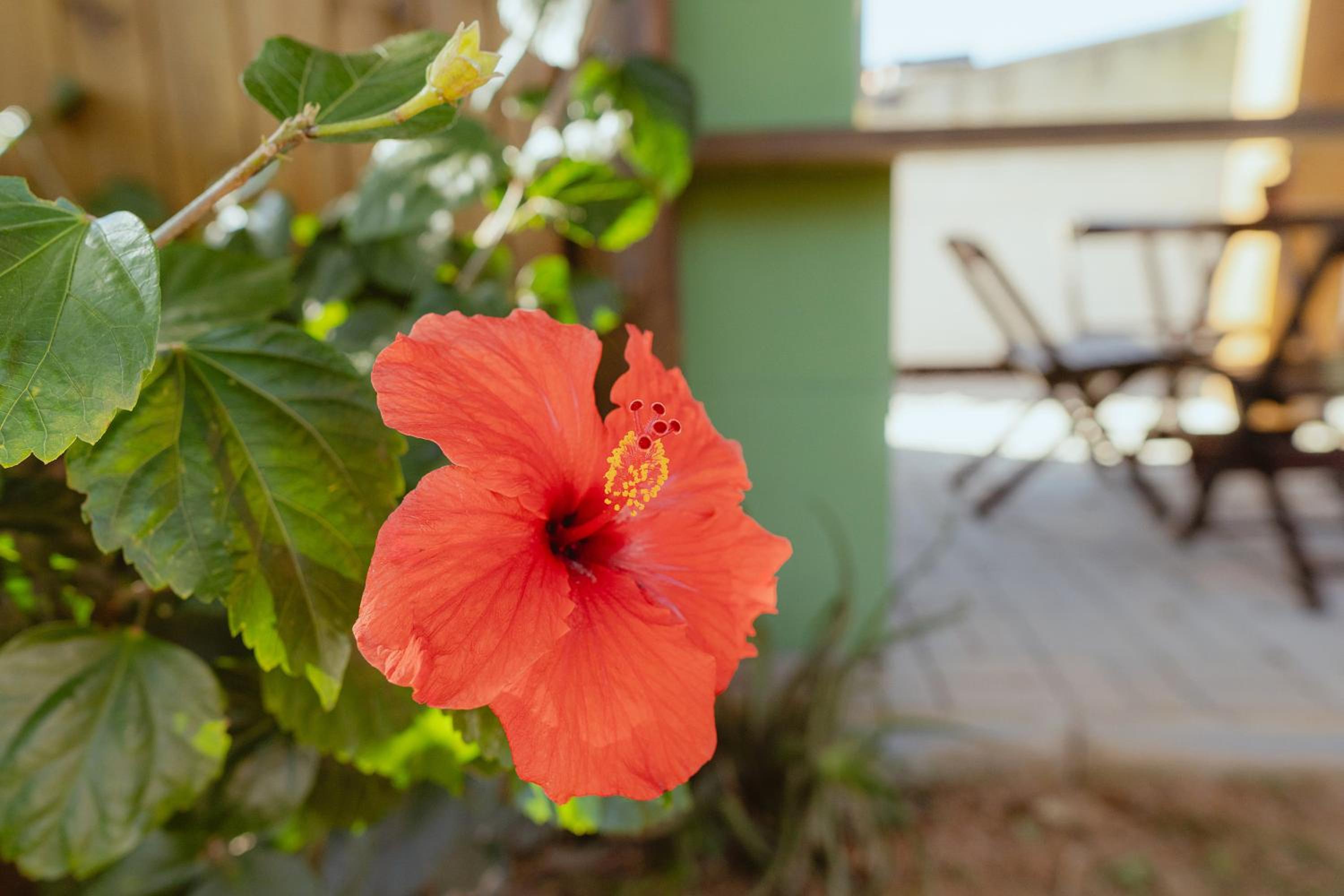 Eco Villa Rosa Norte