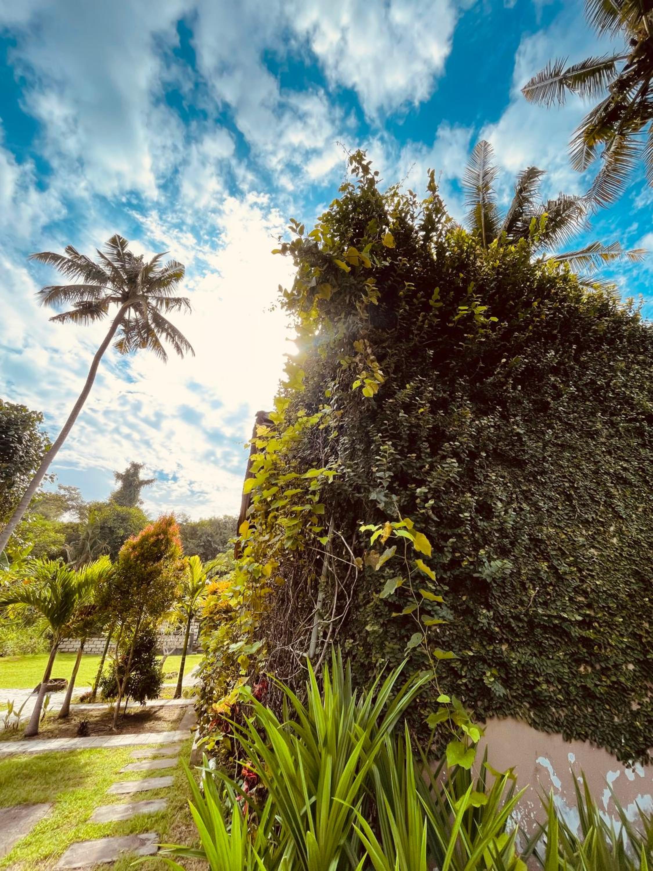 Pedidi Penida Hostel