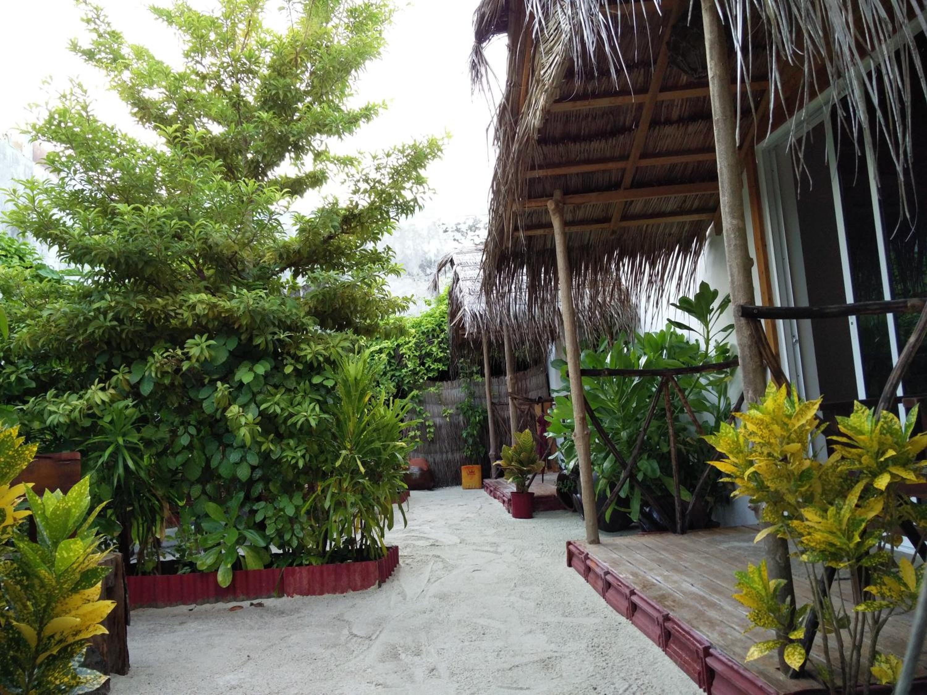 Photo 15