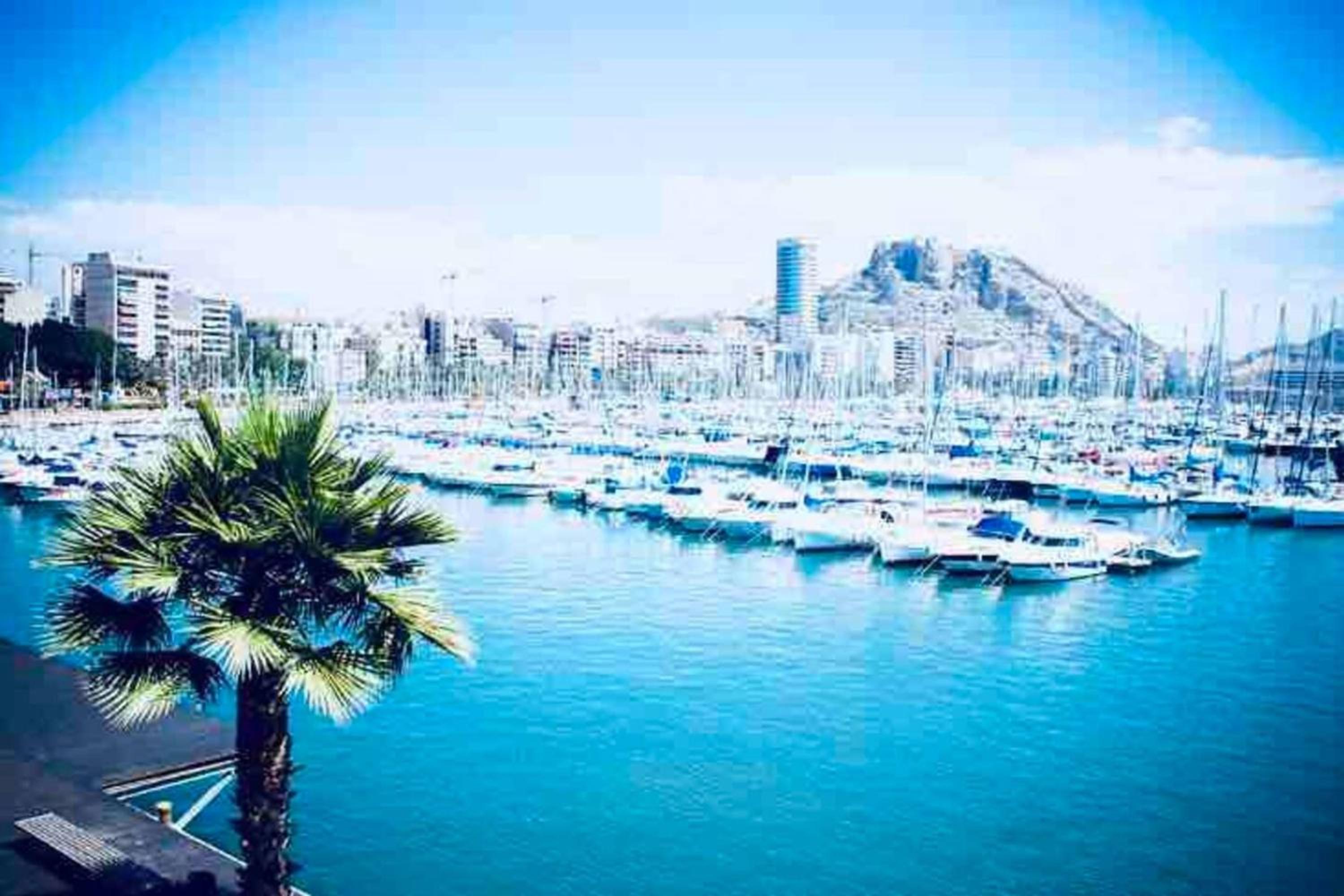 Spacious apartment with terrace in Alicante 120m² air conditioned view 2