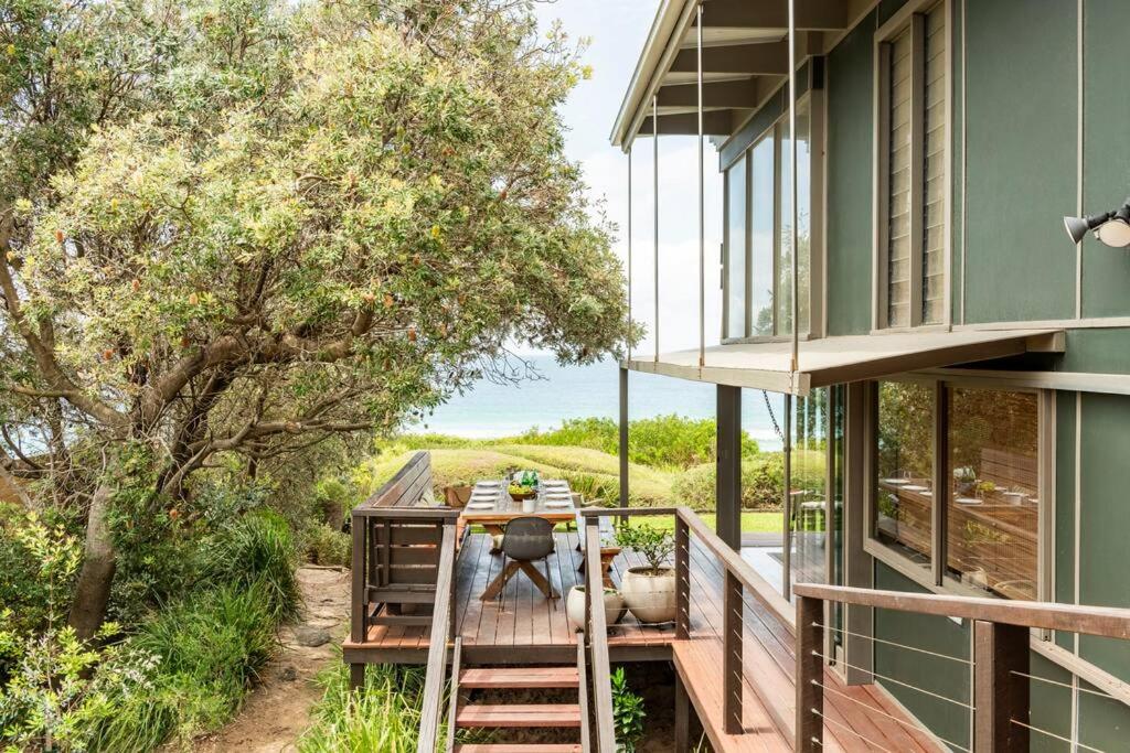 One Hundred Banksias