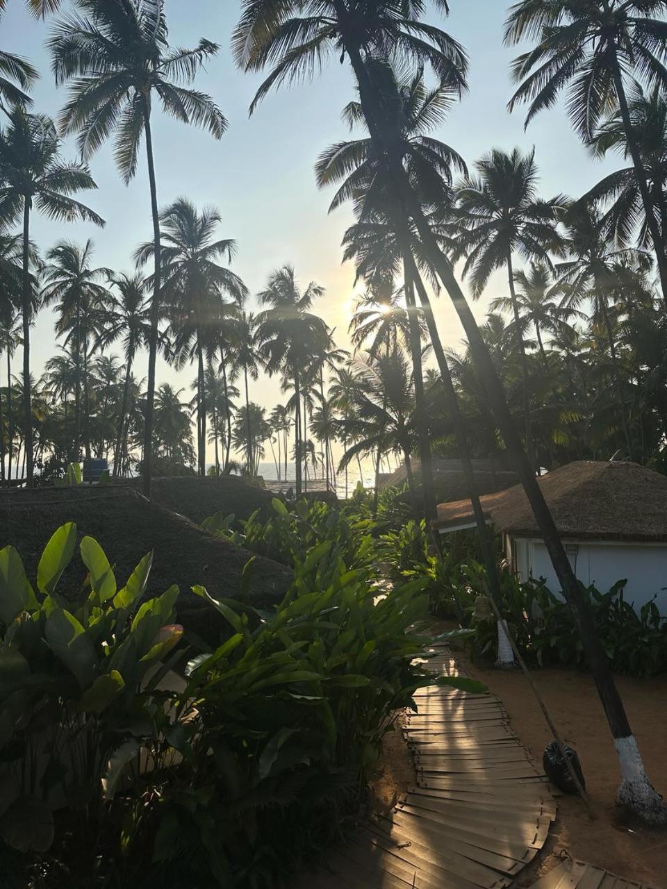 Thalassa Beach Boutique Resort