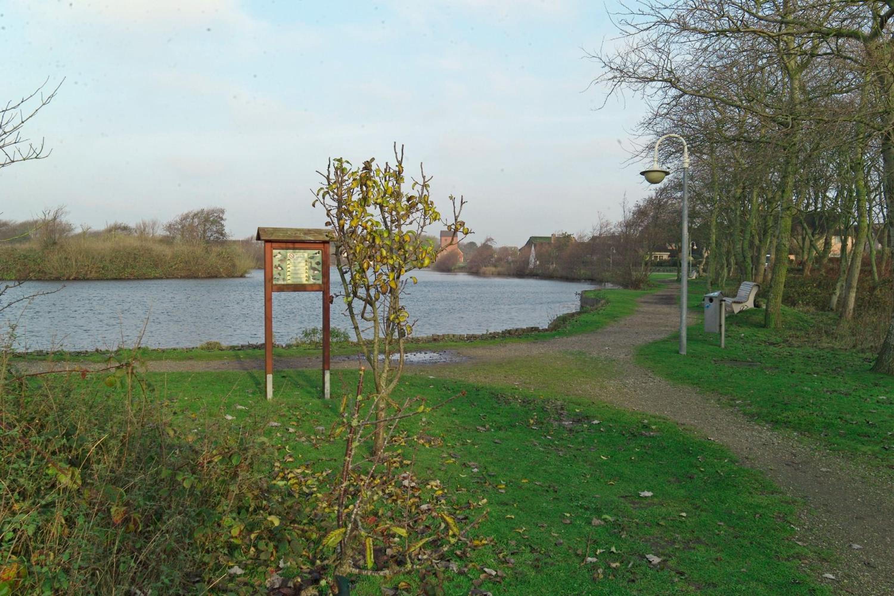 Photo 47