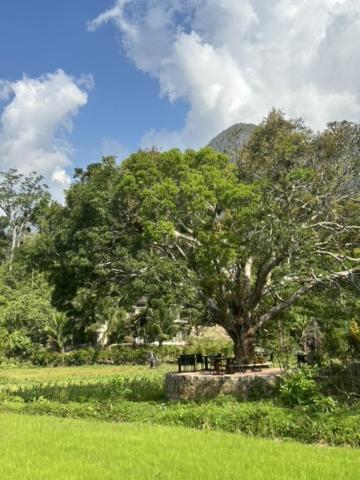 Sheridan Organic Farm and Resort