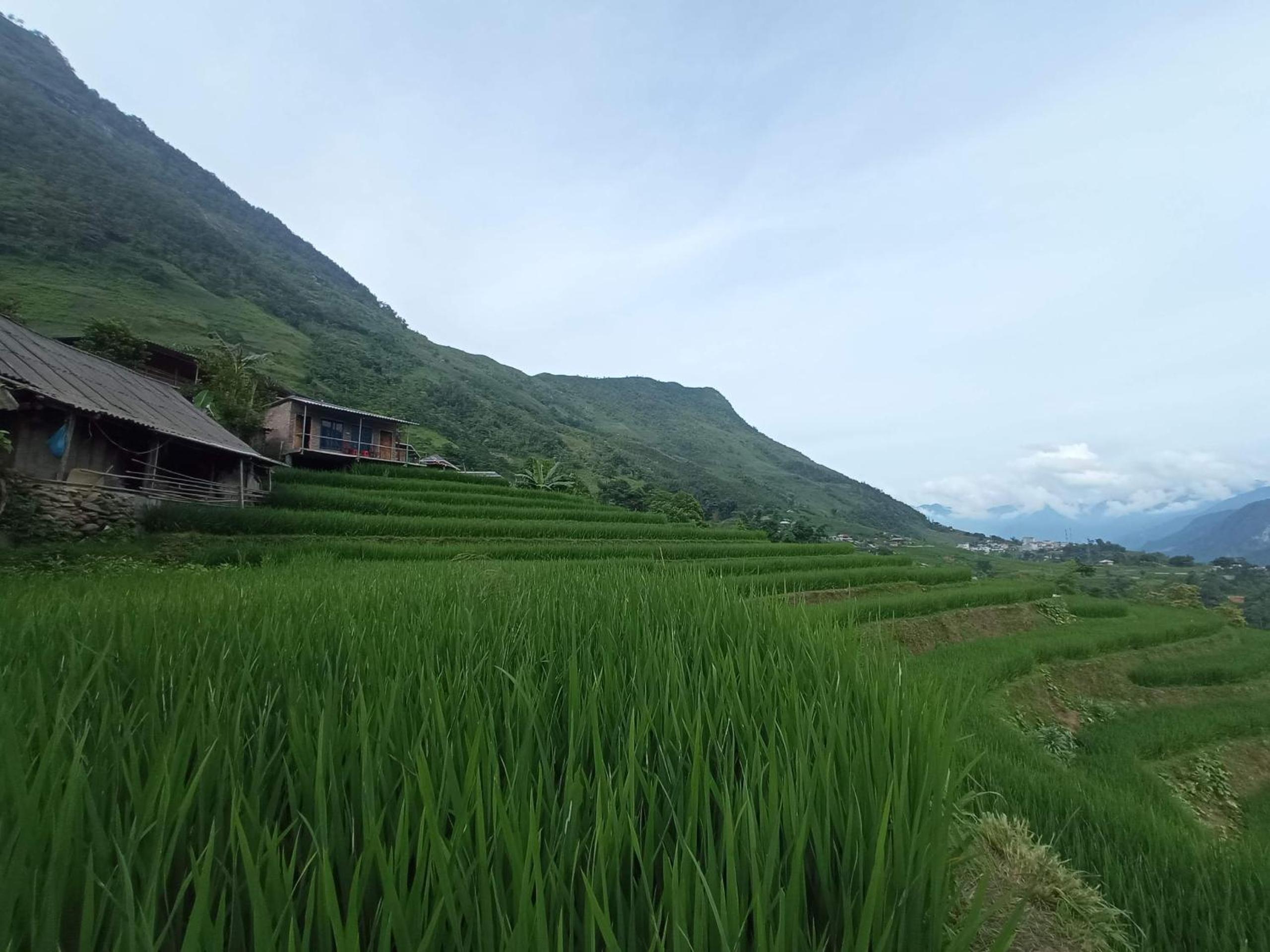Sapa terraces view 4