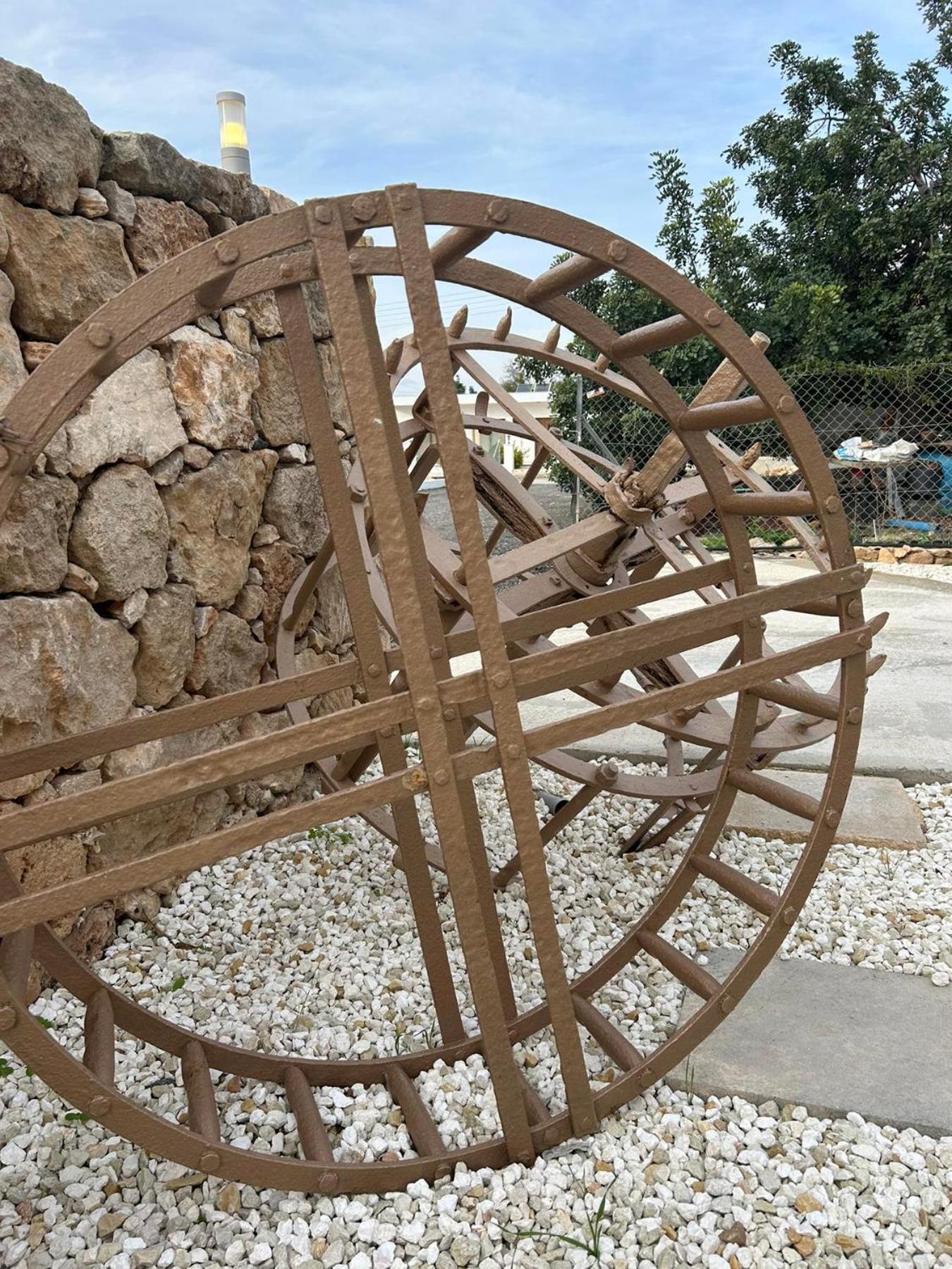 The stone nest