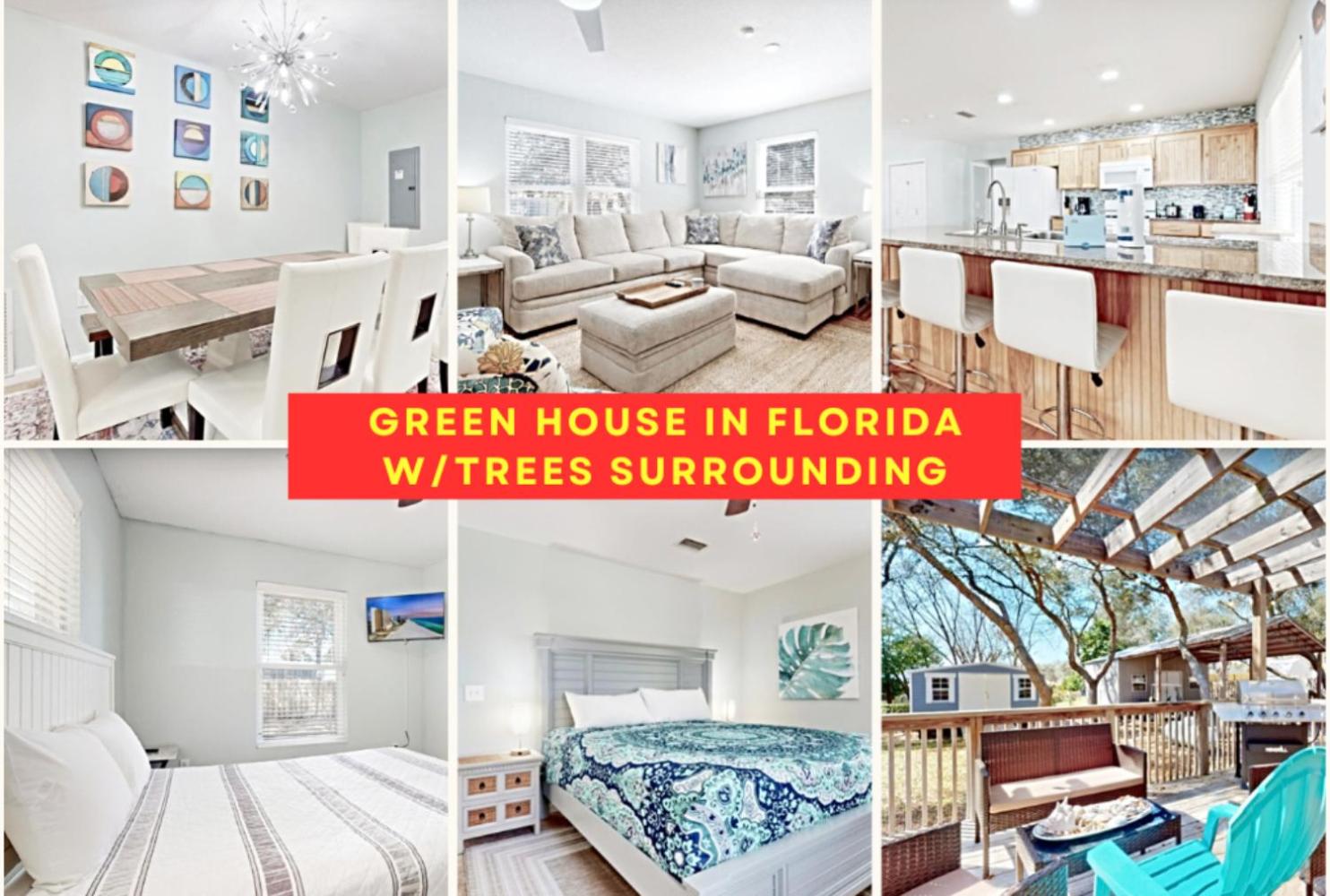 Green House in Florida with Trees Surrounding