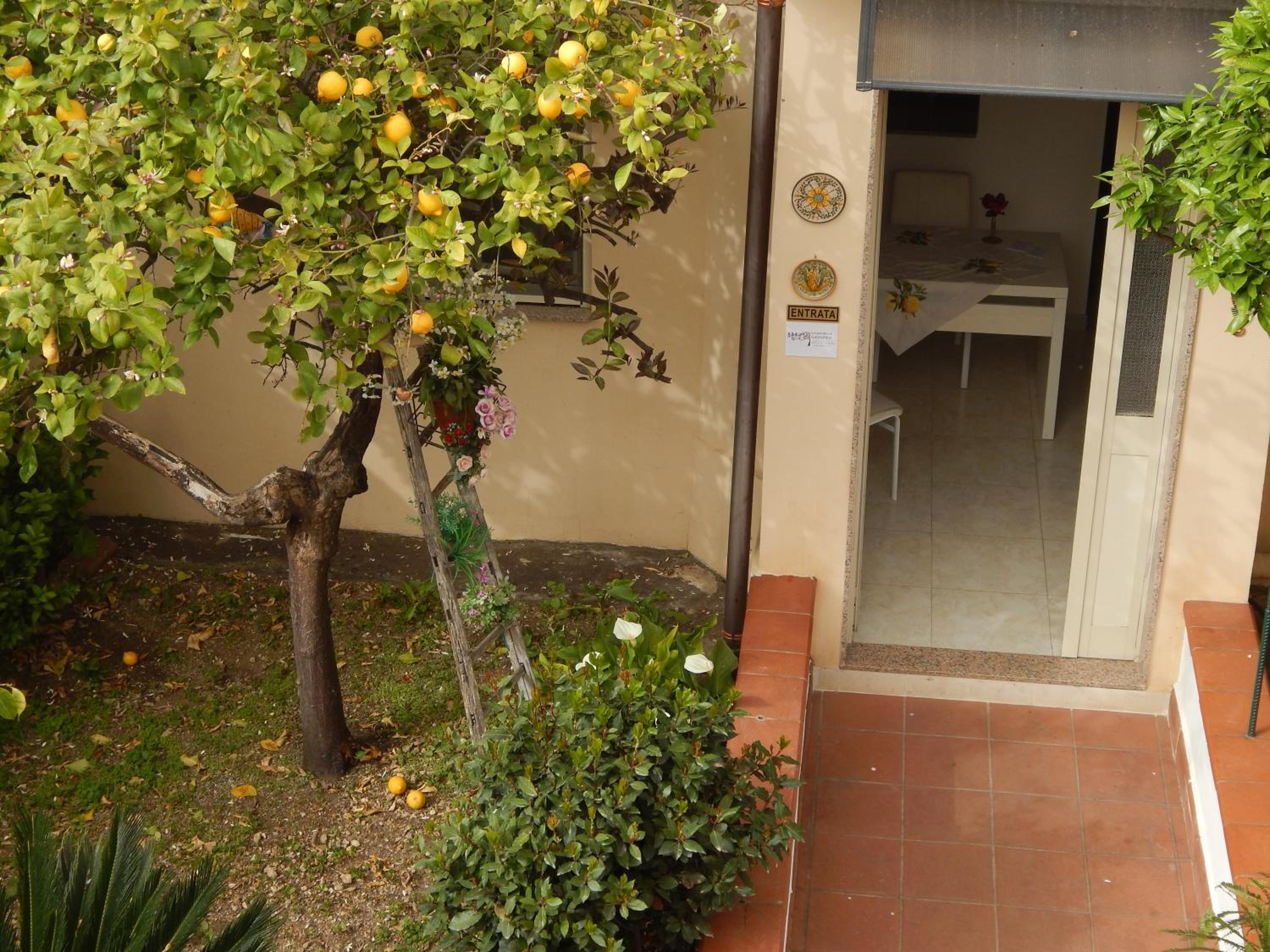Photo 48
