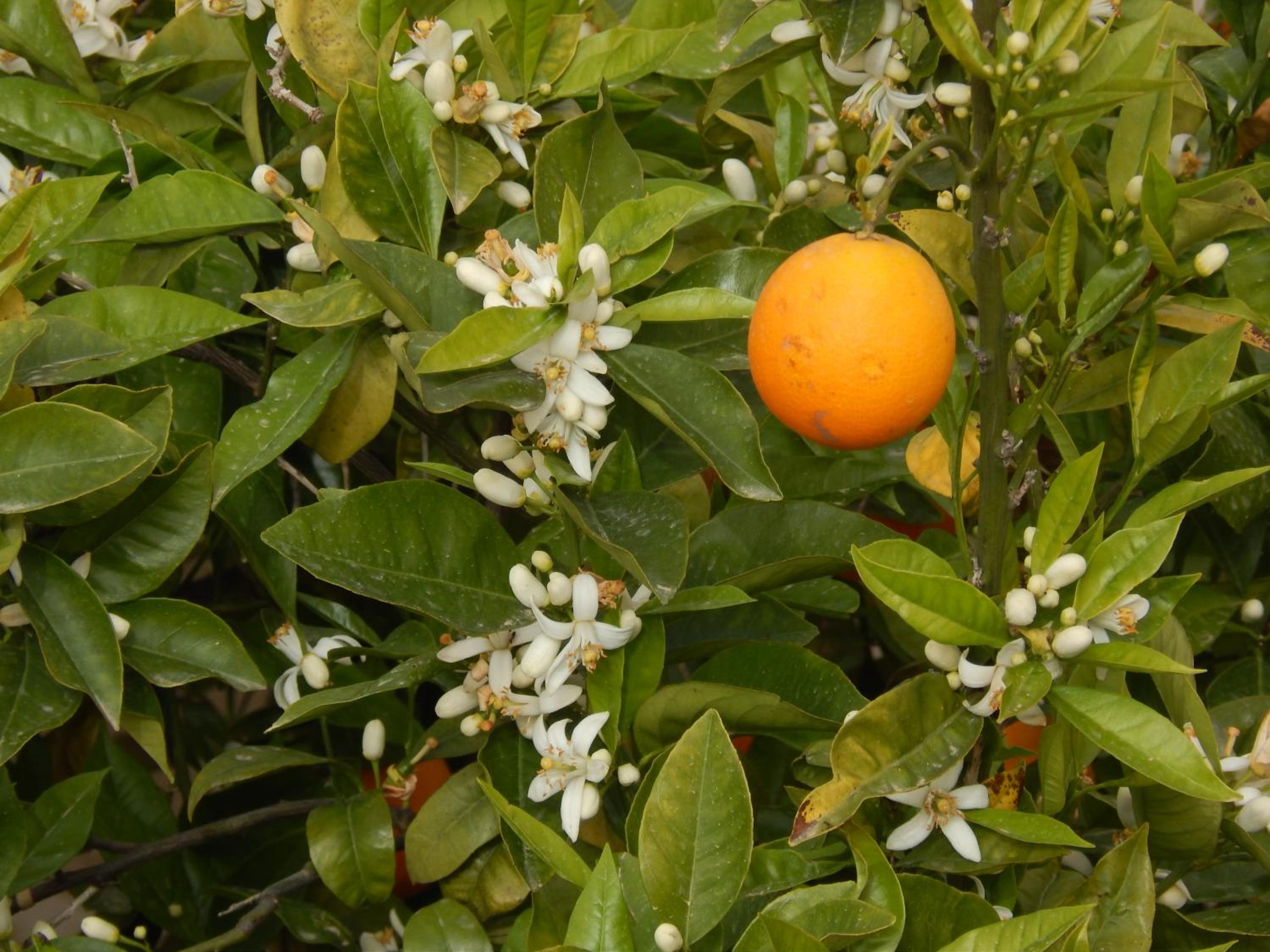 Photo 49