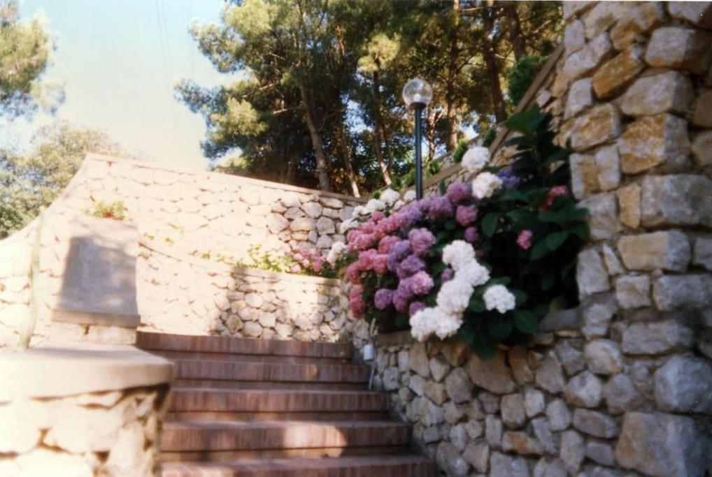 Residenza Santa Maria