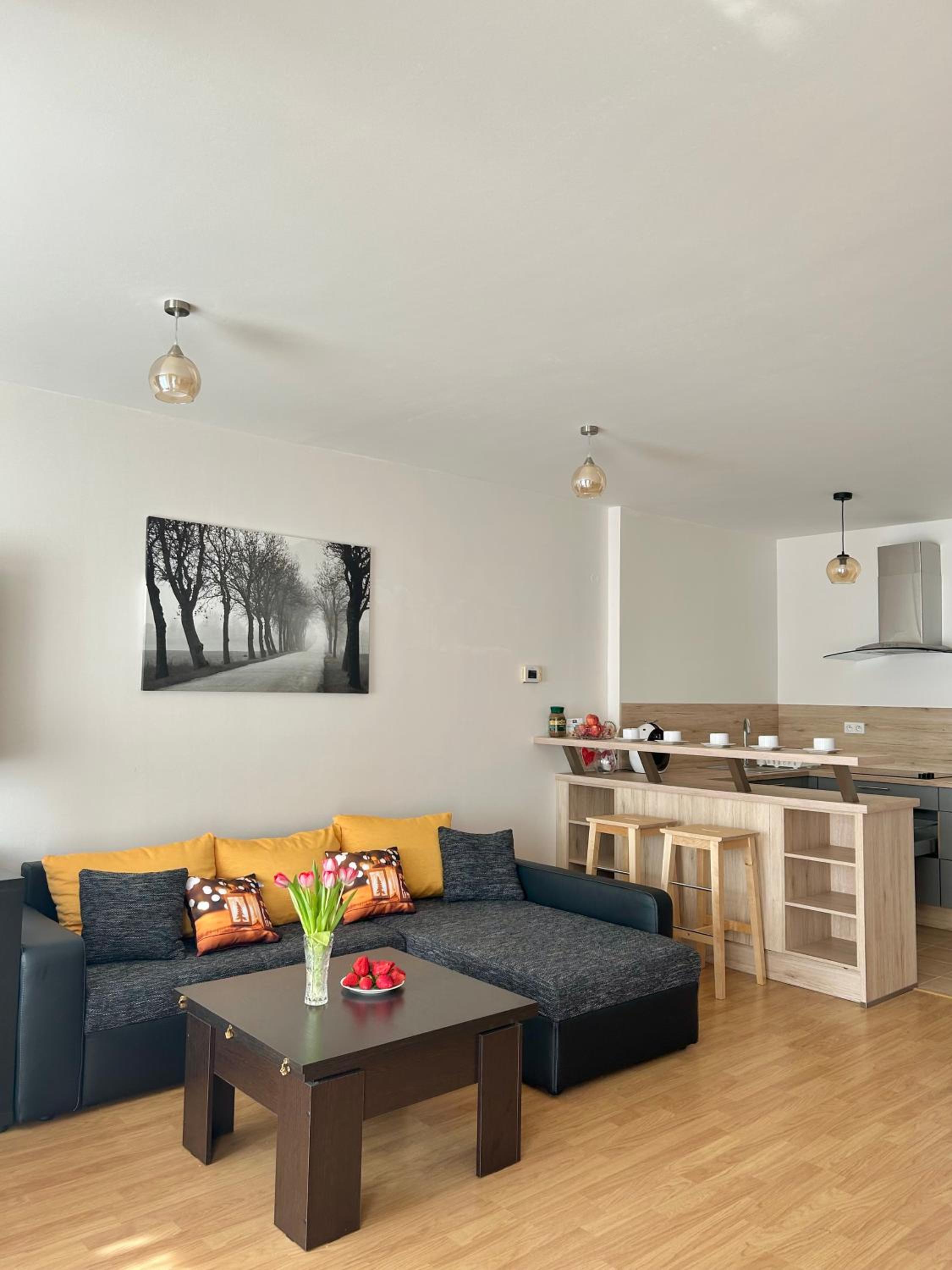 Apartmán v srdci Poděbrad 100m2