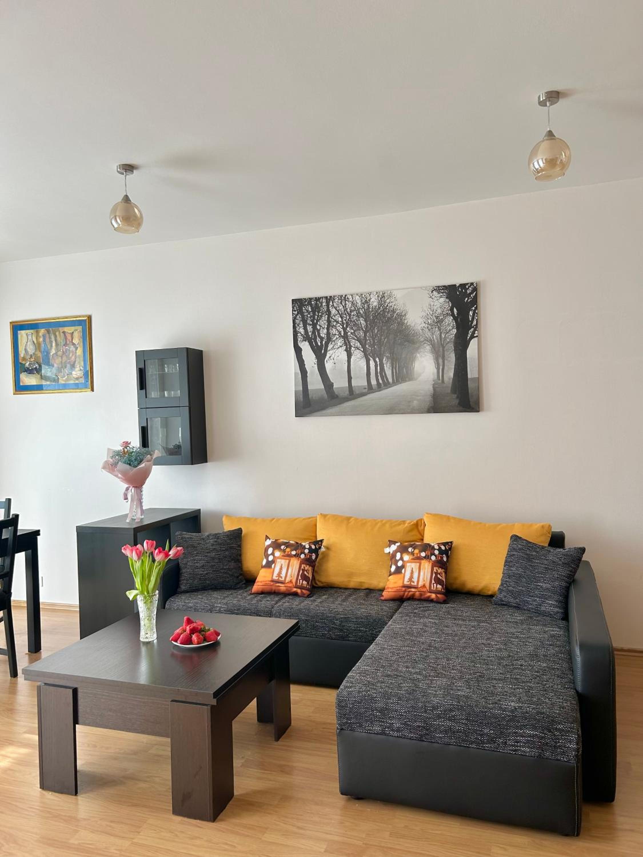 Apartmán v srdci Poděbrad 100m2